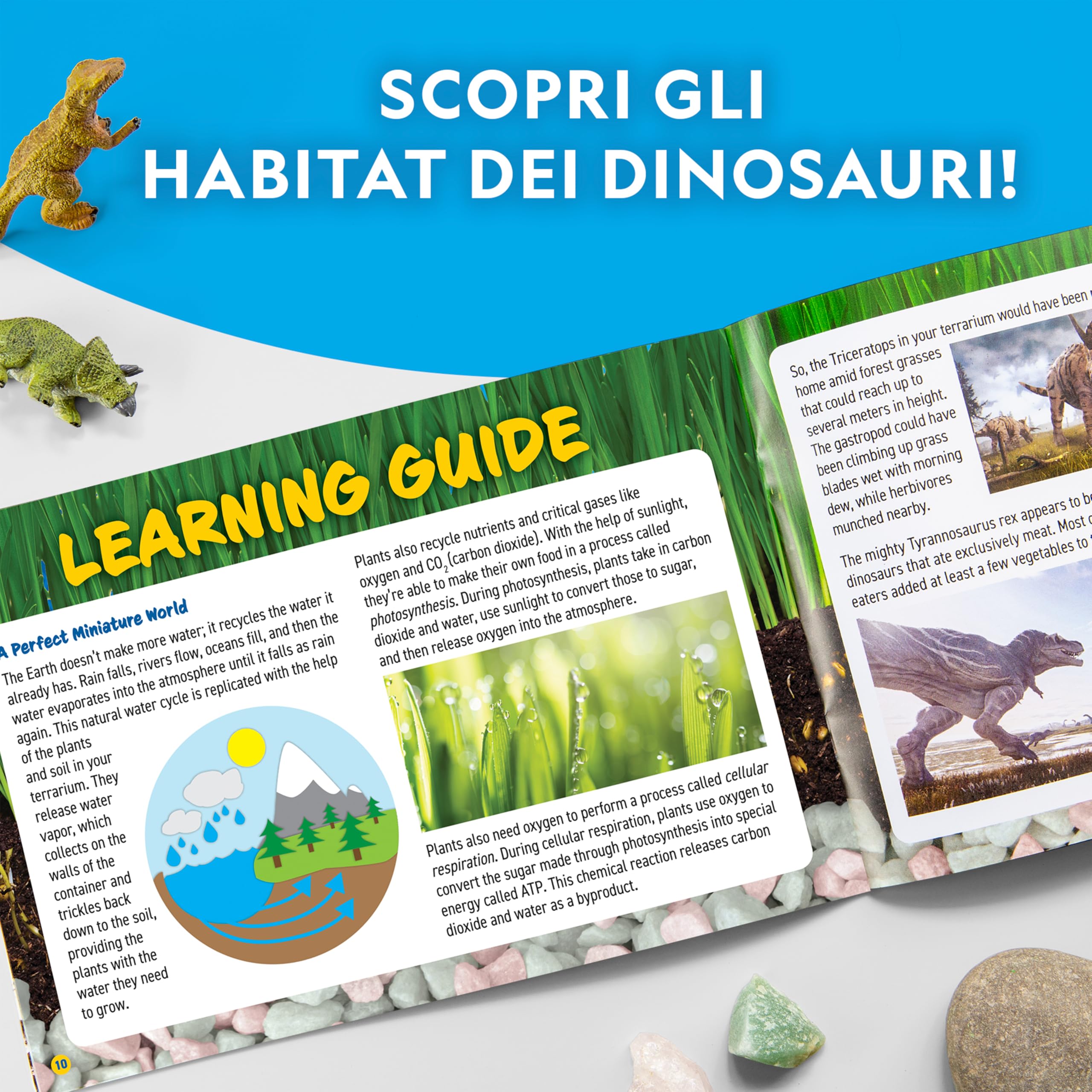 National Geographic Kit scientifici e di scoperta Terrario con dinosauri e piante vere