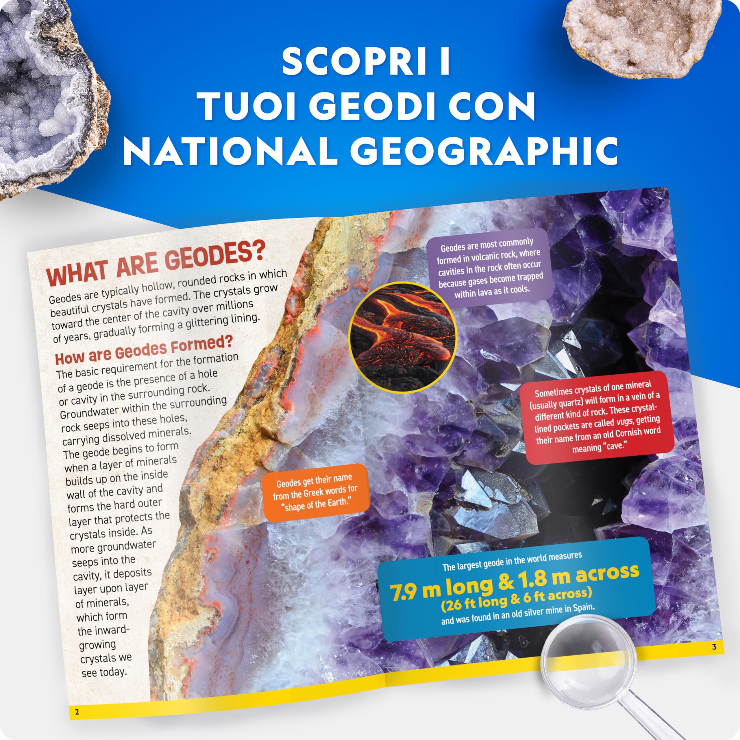 National Geographic Kit scientifici e di scoperta 5 Geodi Jumbo kit 5 pezzi naturali