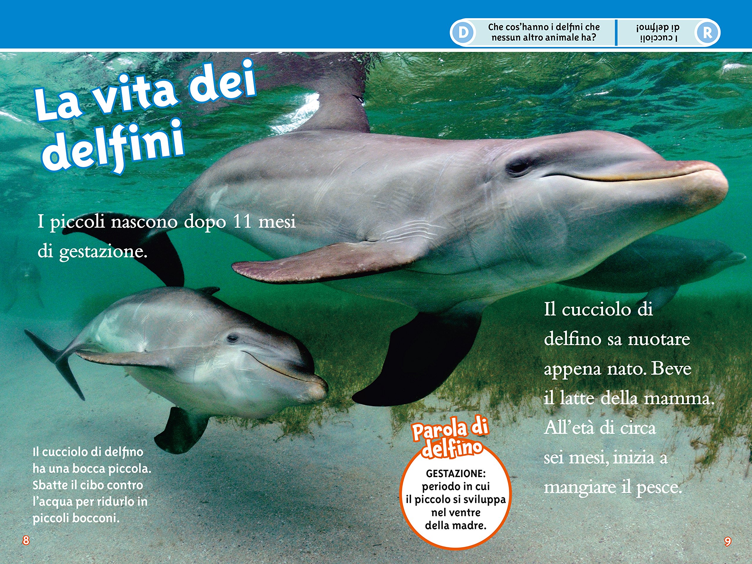 National Geographic Kids – Libri Delfini. Livello 3. Ediz. a colori libro