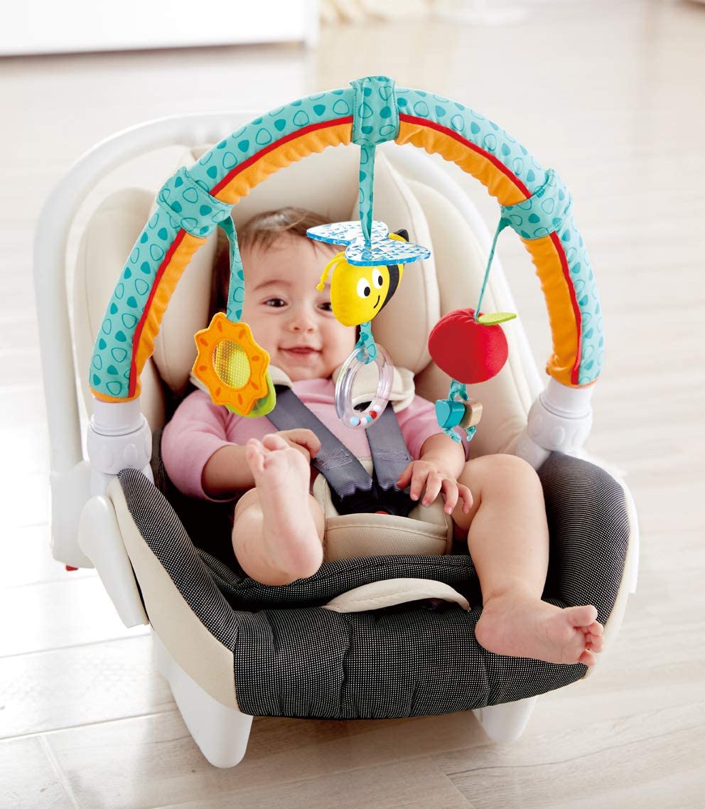 Hape Giocattoli per l’infanzia E0023 Garden Friends arco da gioco turchese