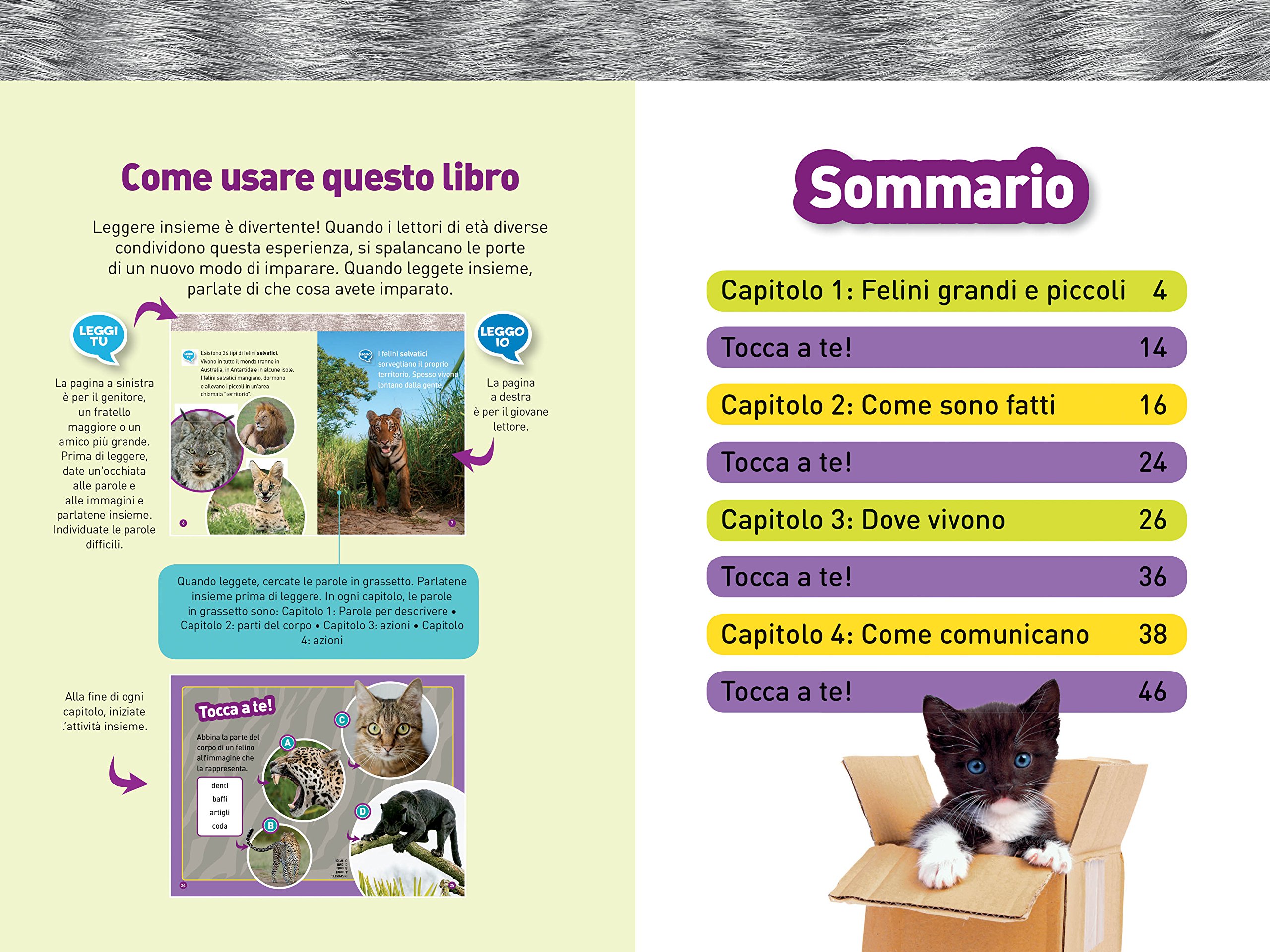 National Geographic Kids – Libri Felini. Livello 1 libro a colori