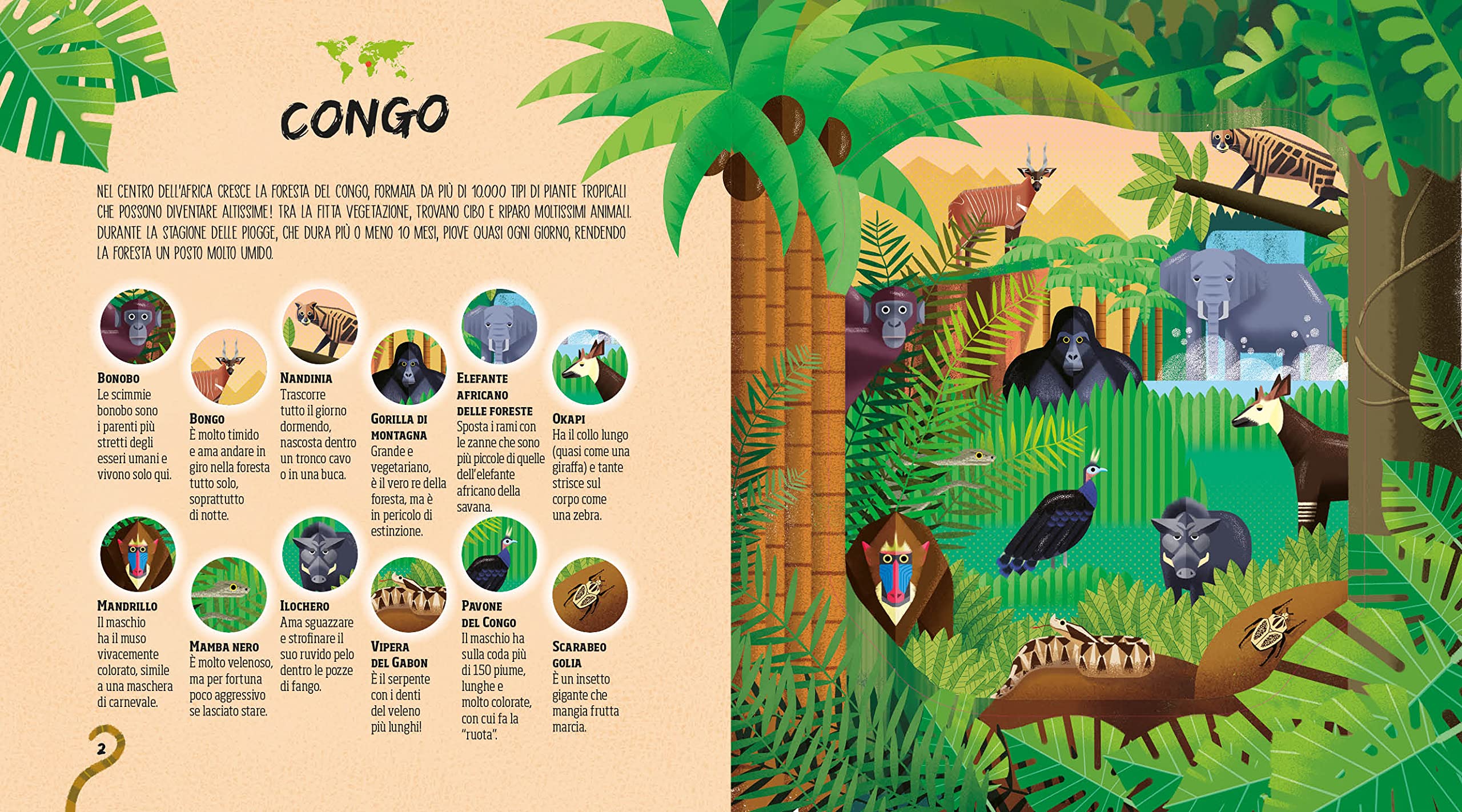 National Geographic Kids Nascosti nella giungla libro cerca animali con torcia magica