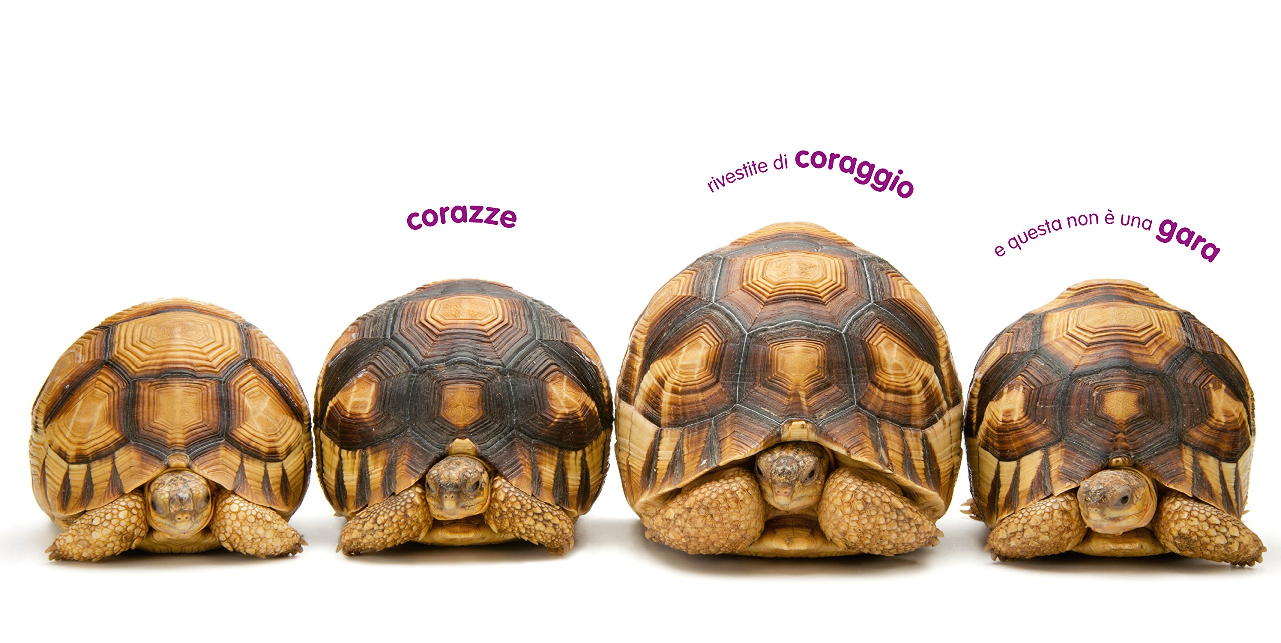 National Geographic Kids – Libri Animal Ark. Poesia e immagini per celebrare la natura. Ediz. a colori libro