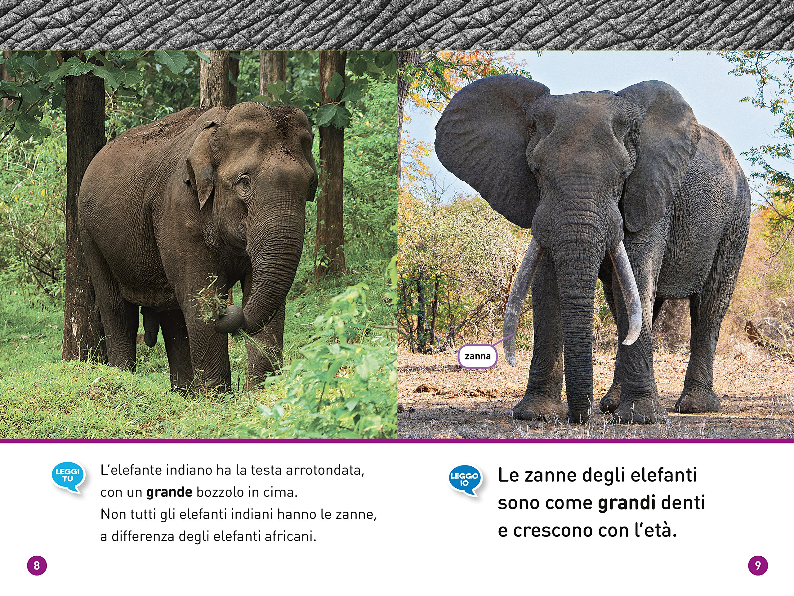 National Geographic Kids – Libri Elefanti. Livello 1. Ediz. a colori libro