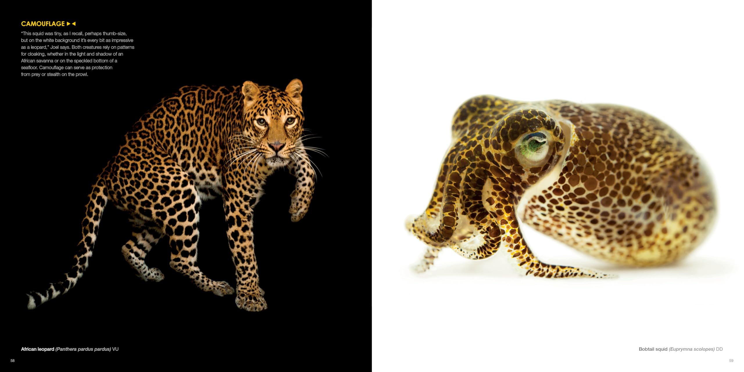 National Geographic – Libri The Photo Ark libro fotografico sugli animali