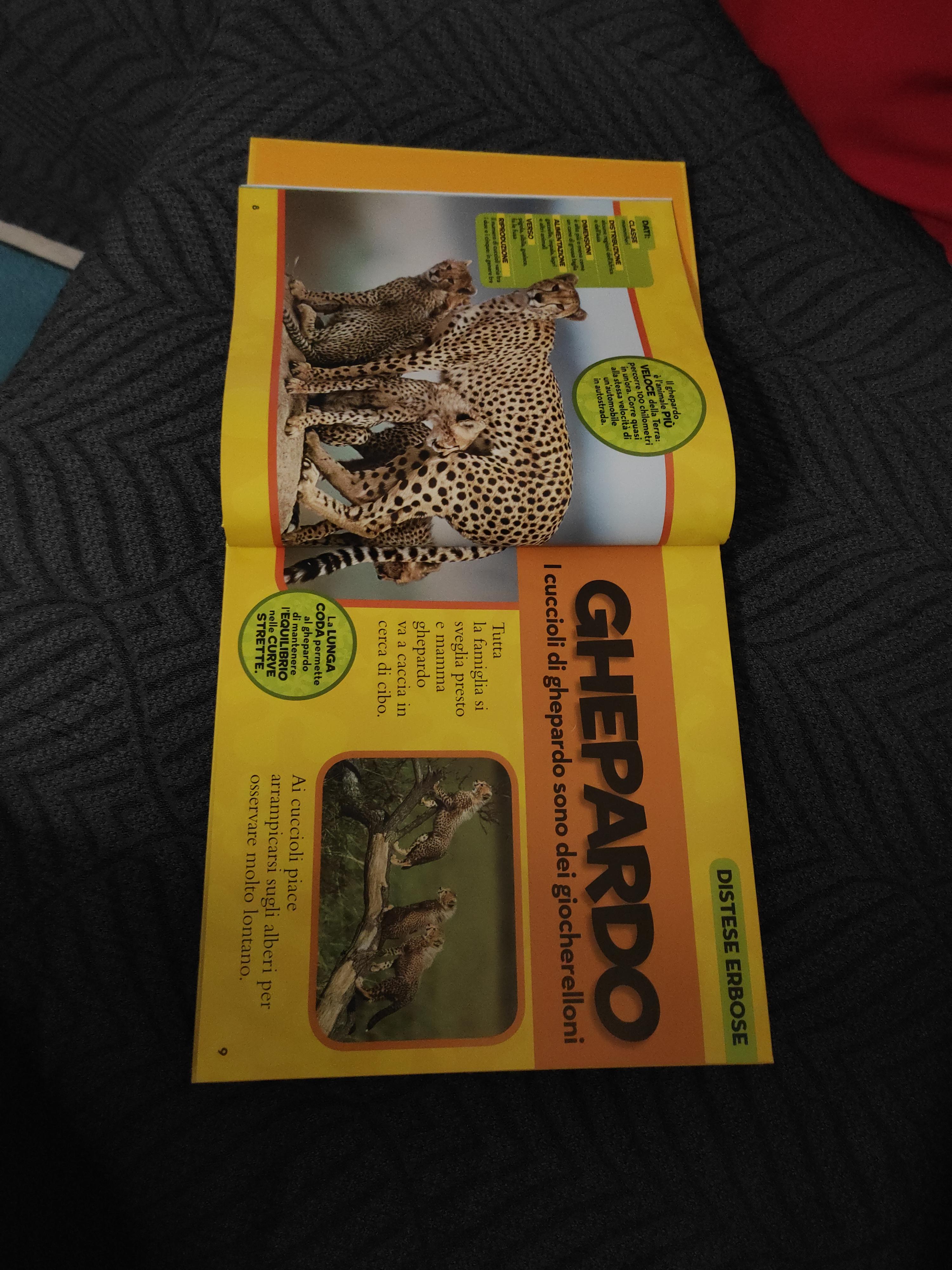 National Geographic Kids Il primo grande libro degli animali libro illustrato