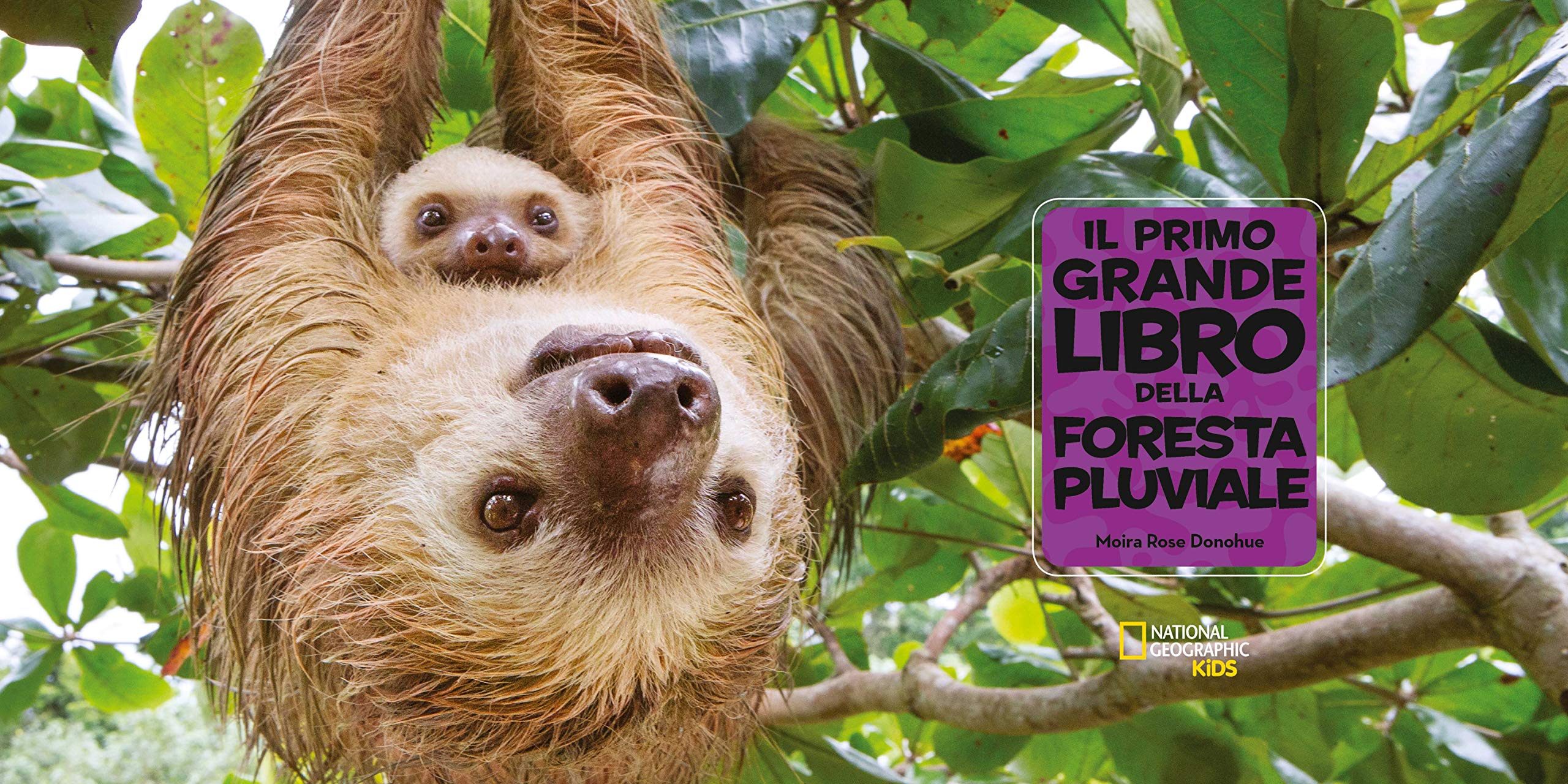 National Geographic Kids – Libri Il primo grande libro della foresta pluviale libro