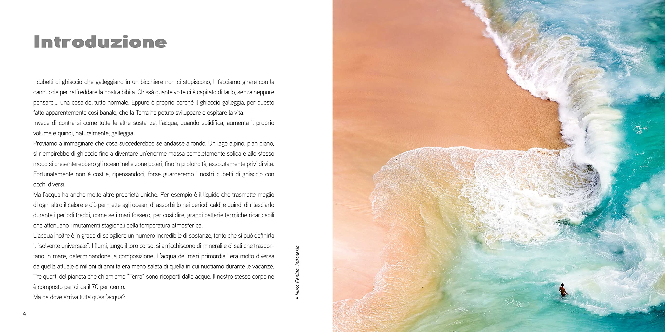 National Geographic – Libri Mare. Un mondo da preservare libro illustrato
