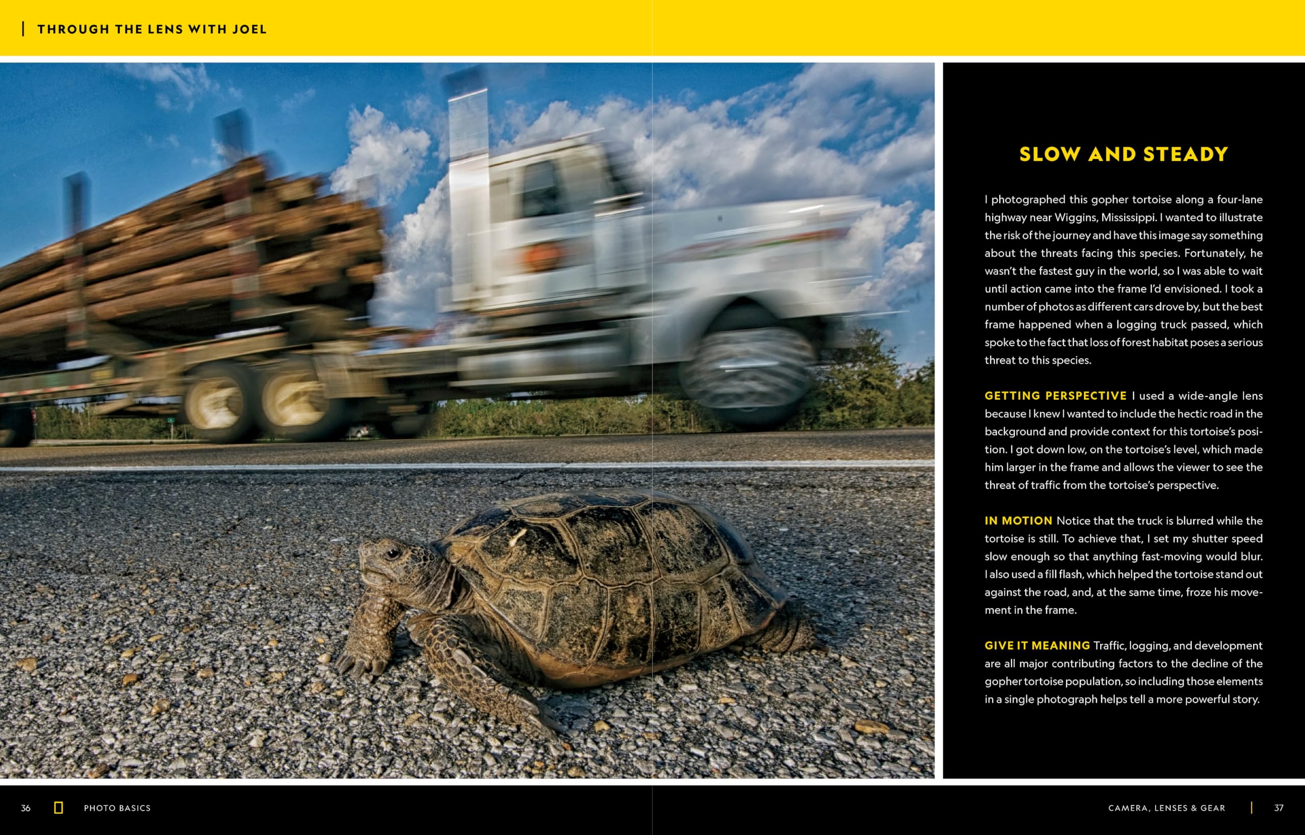 National Geographic National Geographic – Libri Photo Basics guida alla fotografia