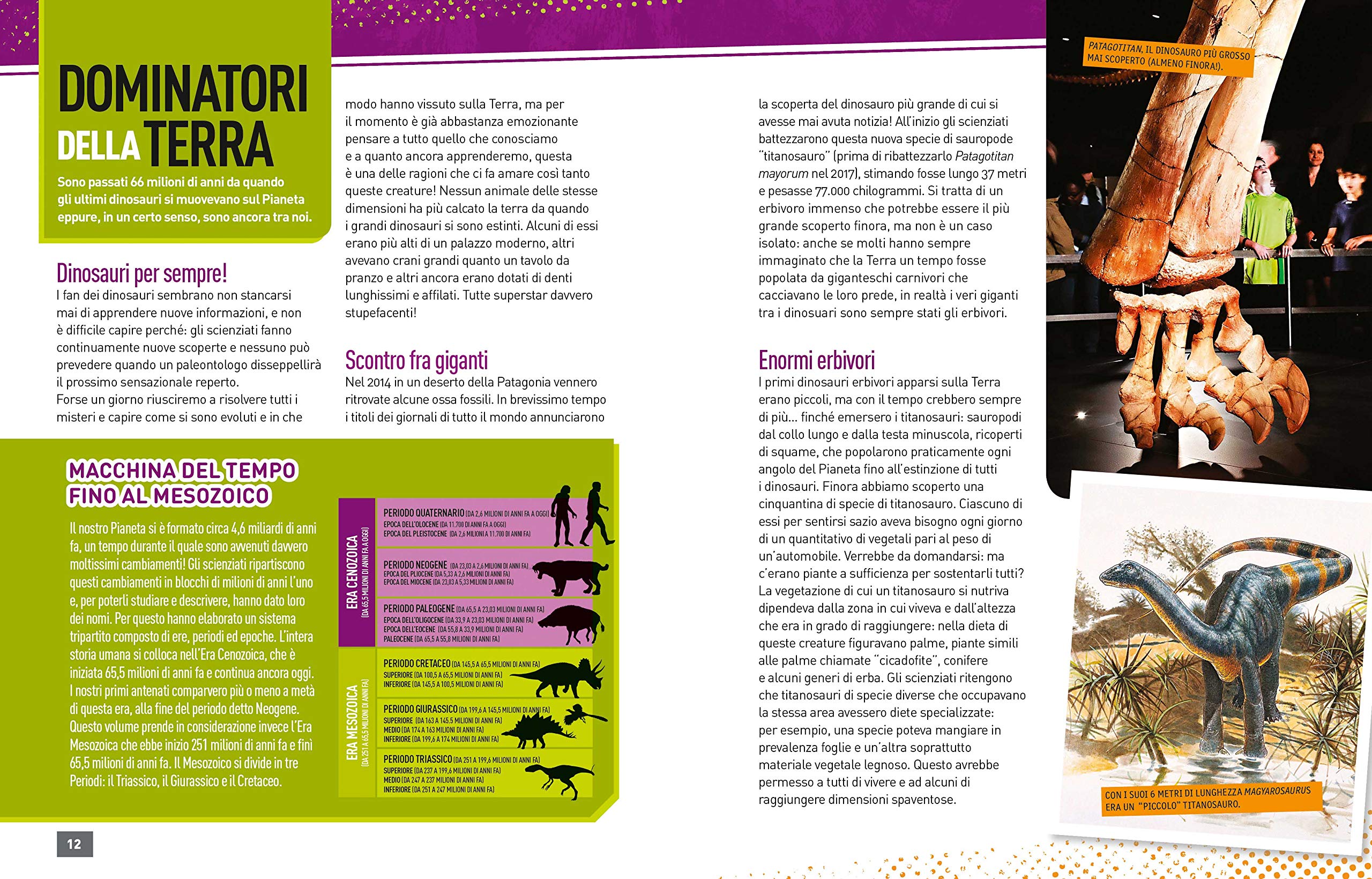 National Geographic Kids – Libri Dinosauri Absolute expert libro