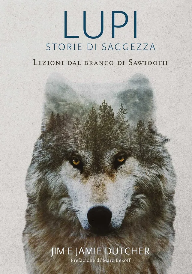 National Geographic Lupi Storie di saggezza libro illustrato