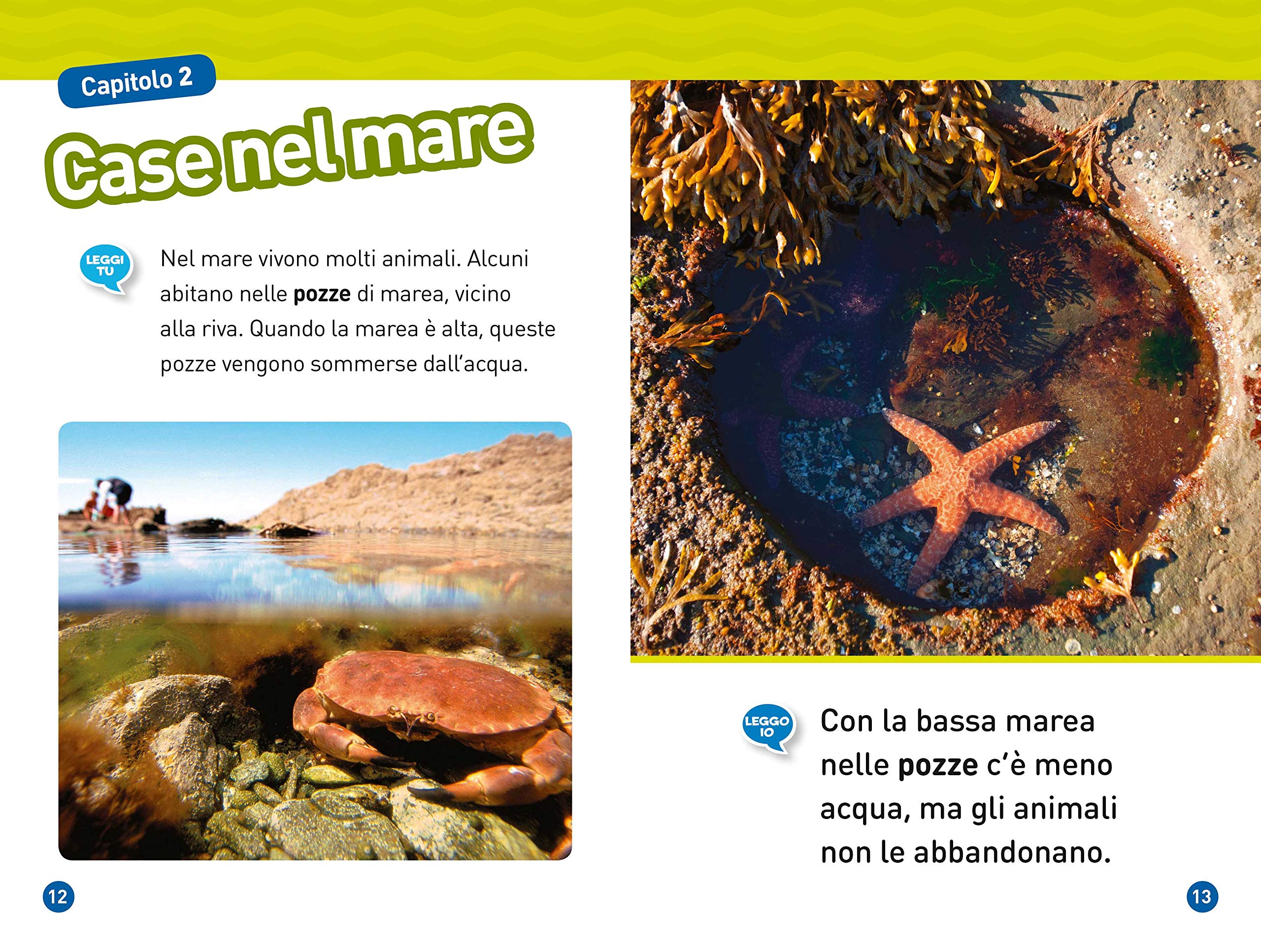 National Geographic Kids – Libri La vita nel mare libro livello 1 a colori