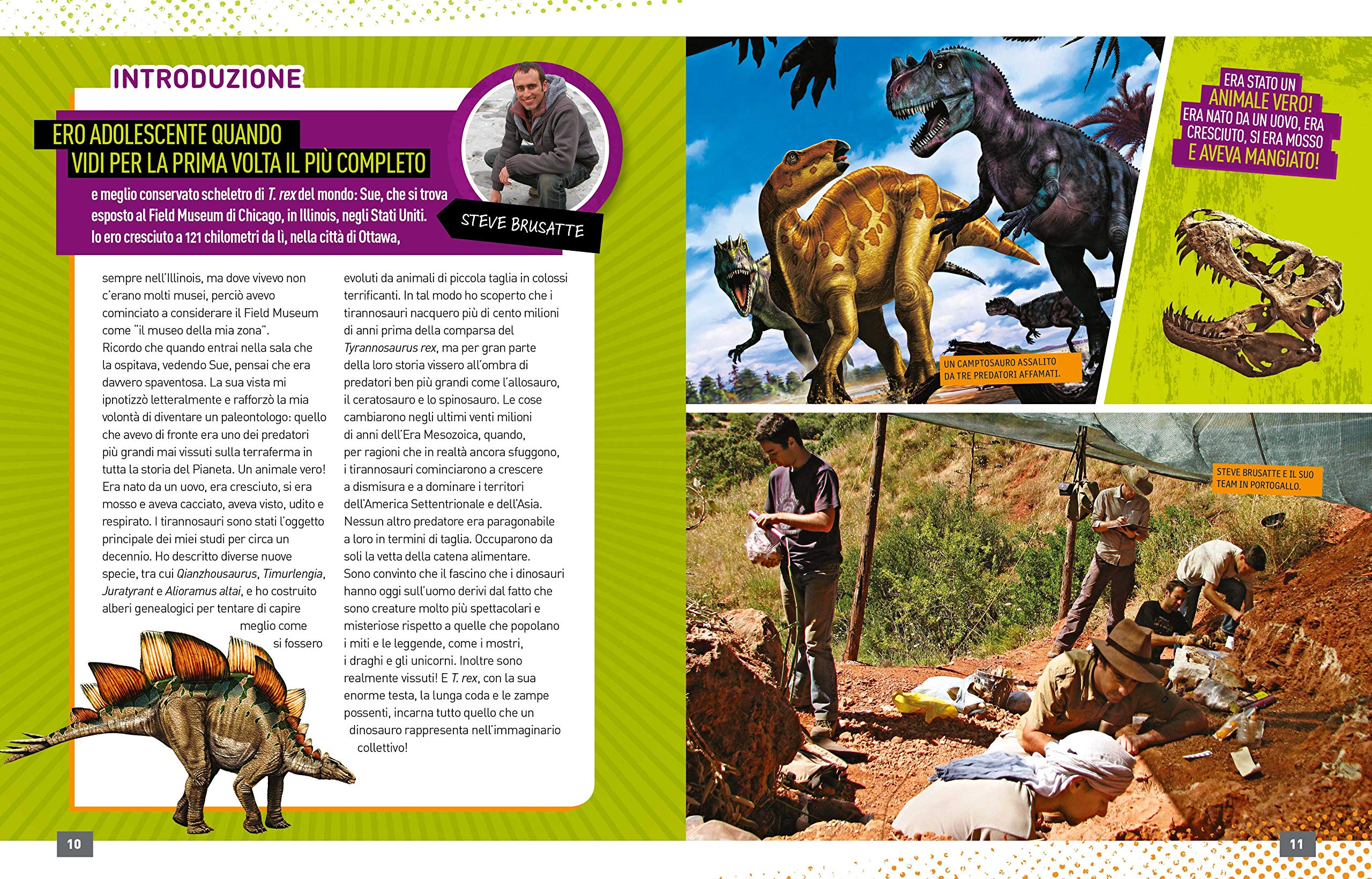 National Geographic Kids – Libri Dinosauri Absolute expert libro