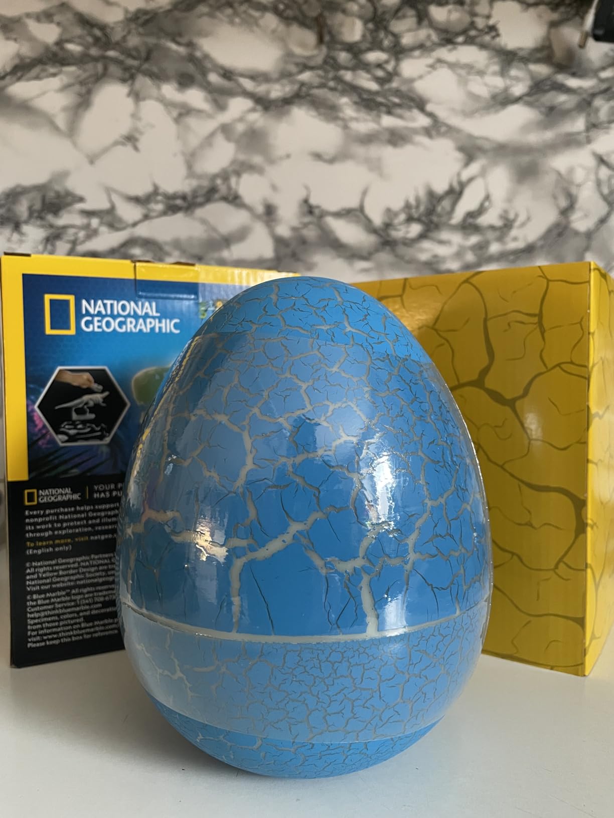 National Geographic Kit scientifici e di scoperta Scheletri Dinosauri Glow in the Dark kit fosforescente