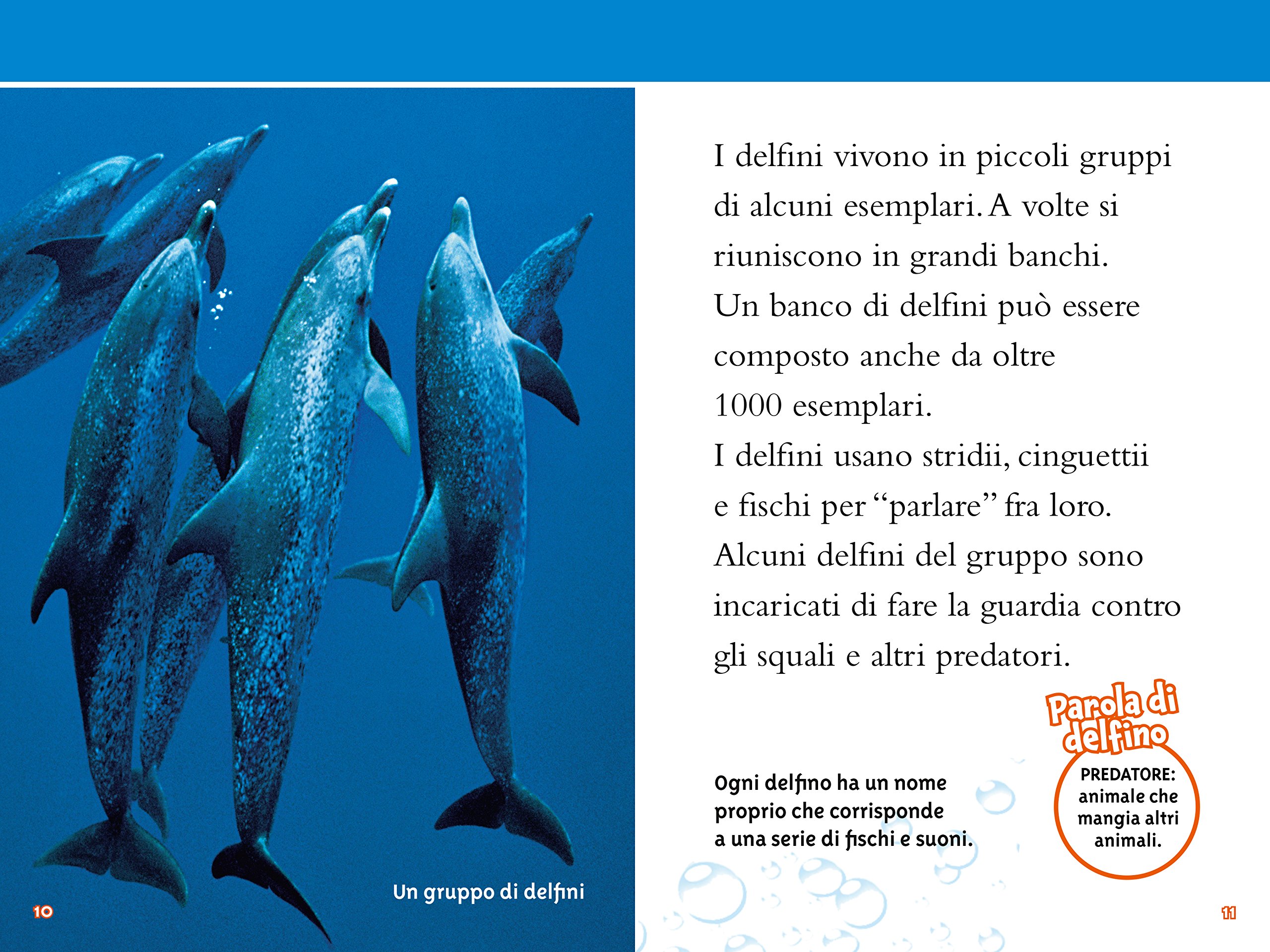 National Geographic Kids – Libri Delfini. Livello 3. Ediz. a colori libro