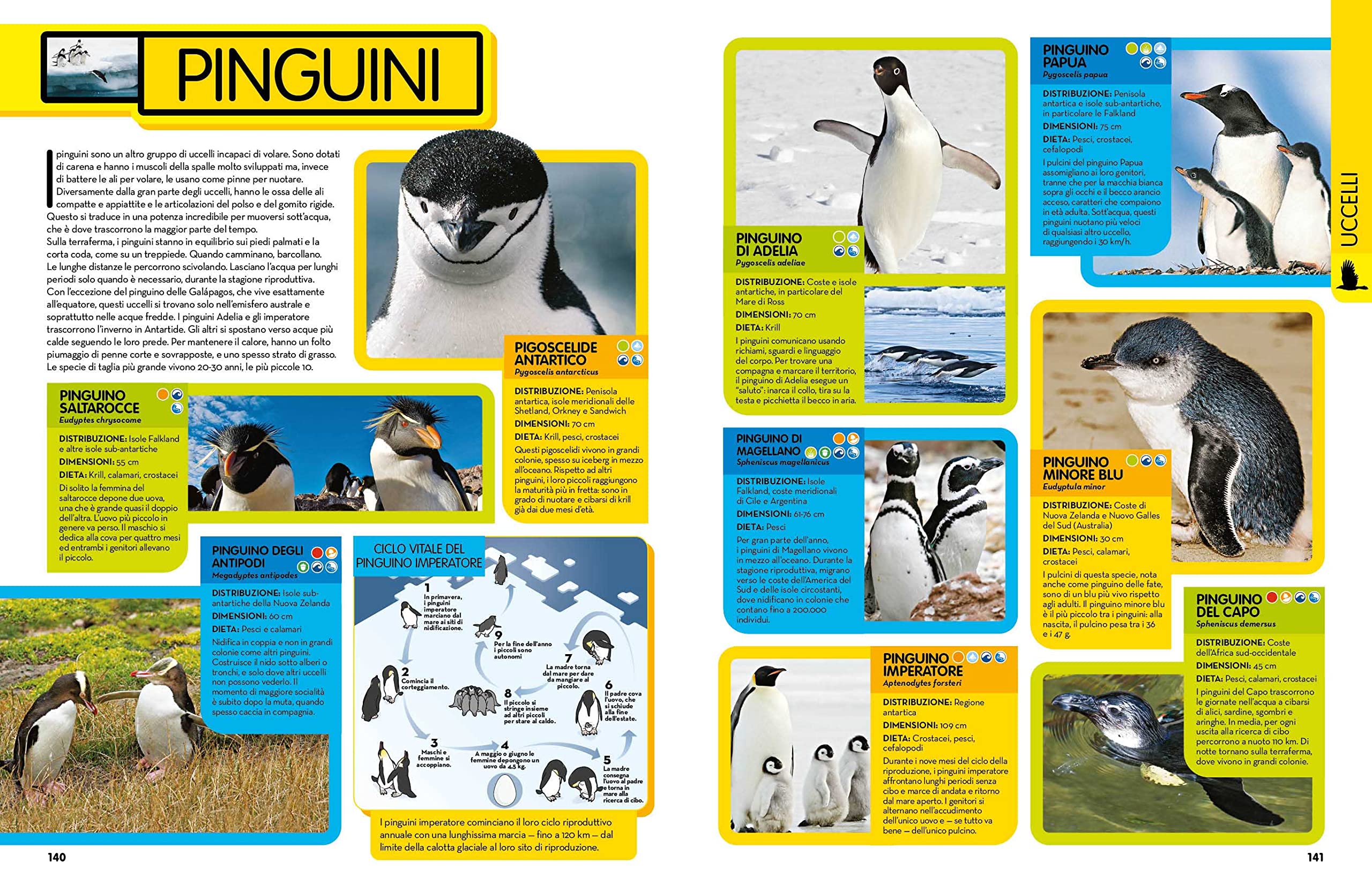 National Geographic Kids – Libri La Grande Enciclopedia Degli Animali guida illustrata