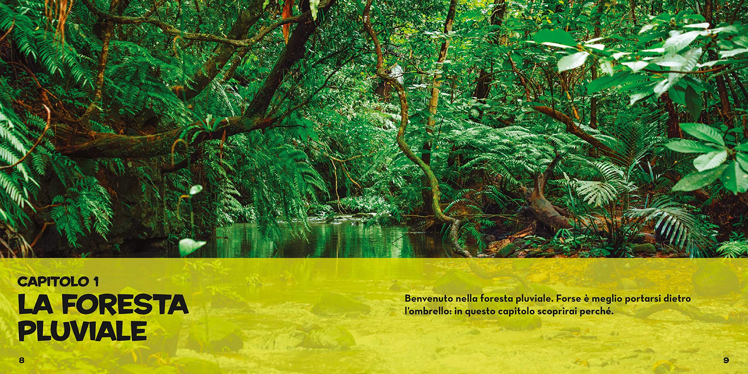 National Geographic Kids – Libri Il primo grande libro della foresta pluviale libro