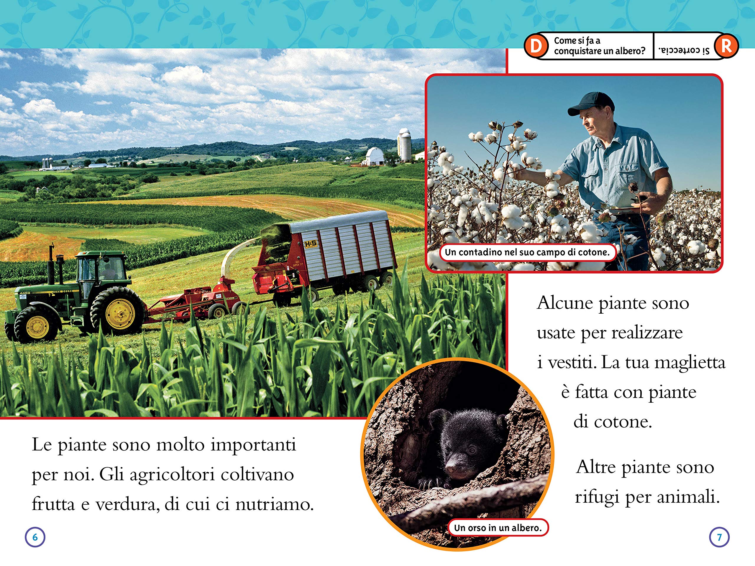 National Geographic Kids – Libri Dal seme alla pianta. Livello 2 libro