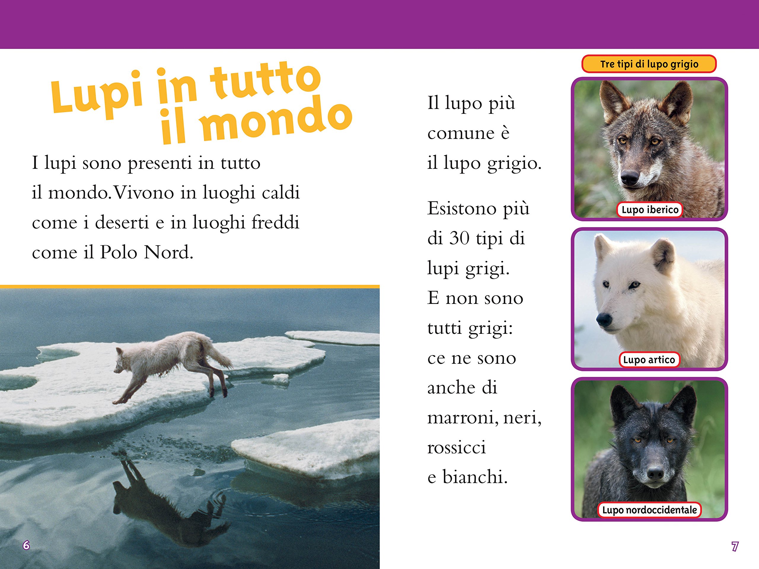 National Geographic Kids – Libri Lupi. Livello 3. Ediz. a colori libro illustrato