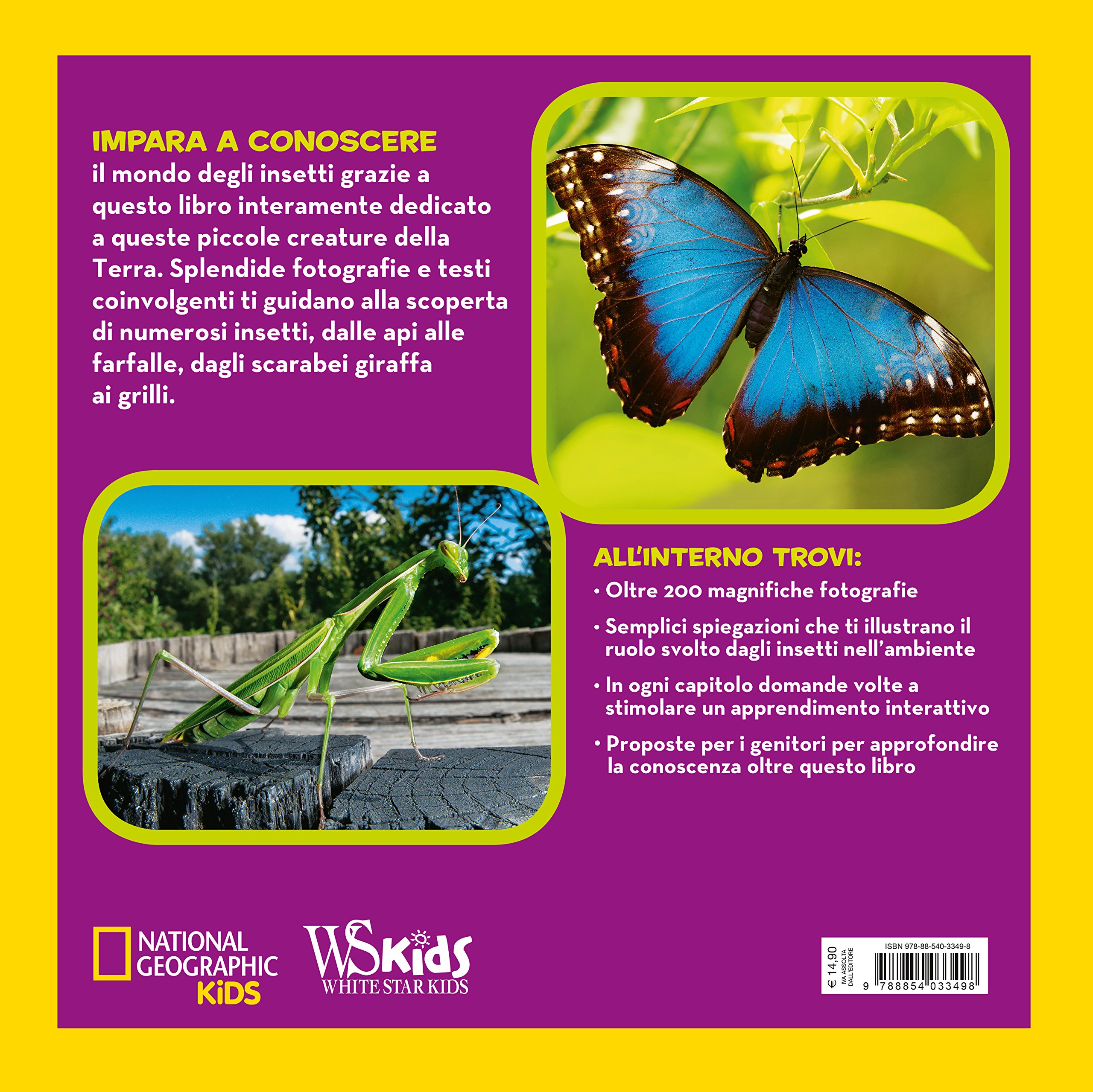 National Geographic Kids – Libri Il primo grande libro degli insetti libro a colori