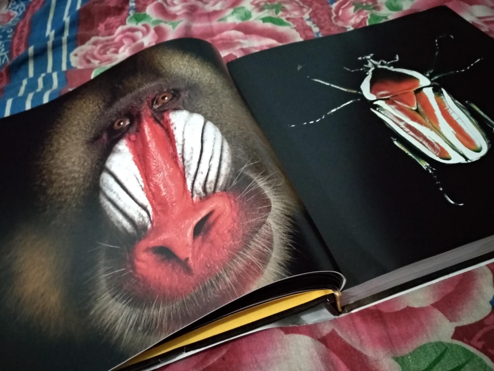 National Geographic – Libri The Photo Ark libro fotografico sugli animali