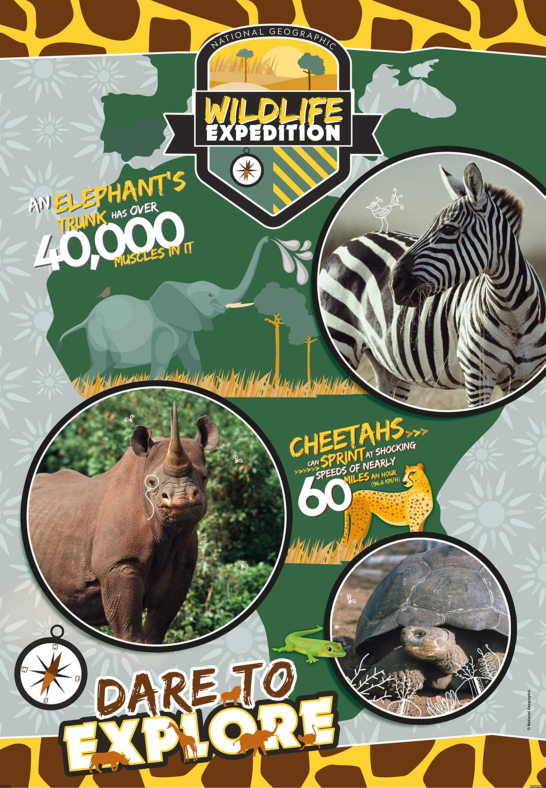 National Geographic Kids Wildlife Expedition 180 pezzi puzzle bambini 7+