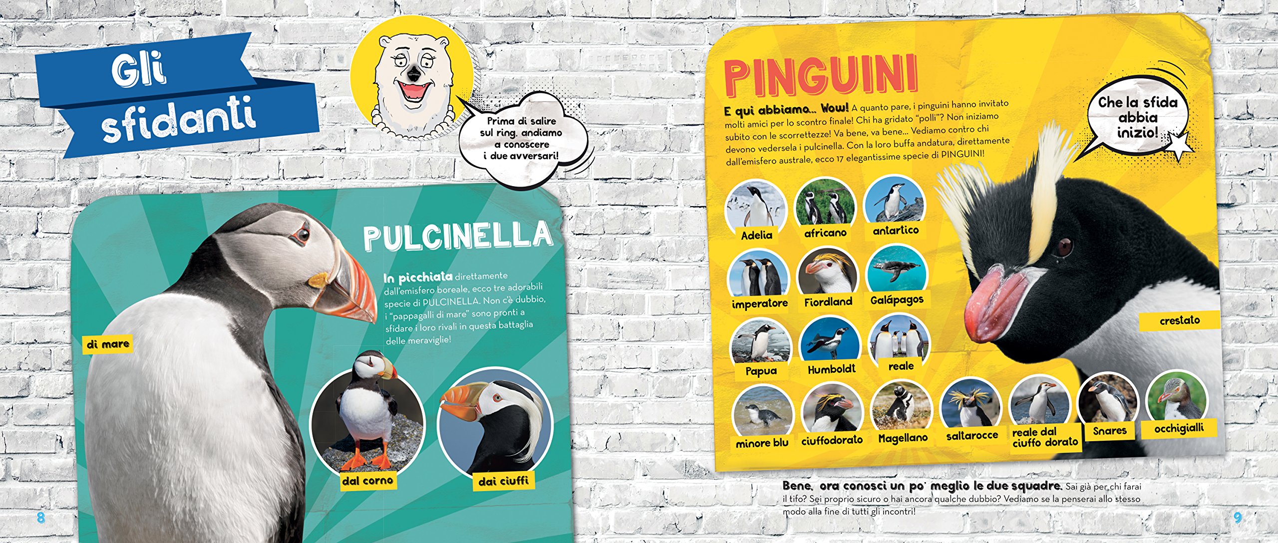 National Geographic Kids – Libri Pinguini e pulcinelle a confronto libro