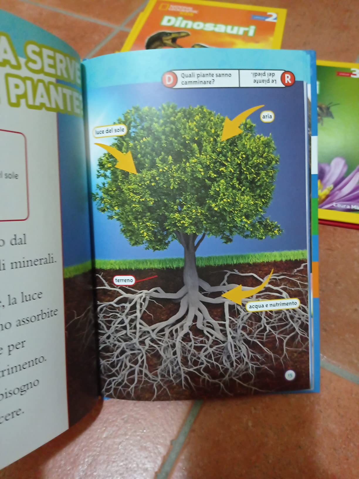 National Geographic Kids – Libri Dal seme alla pianta. Livello 2 libro