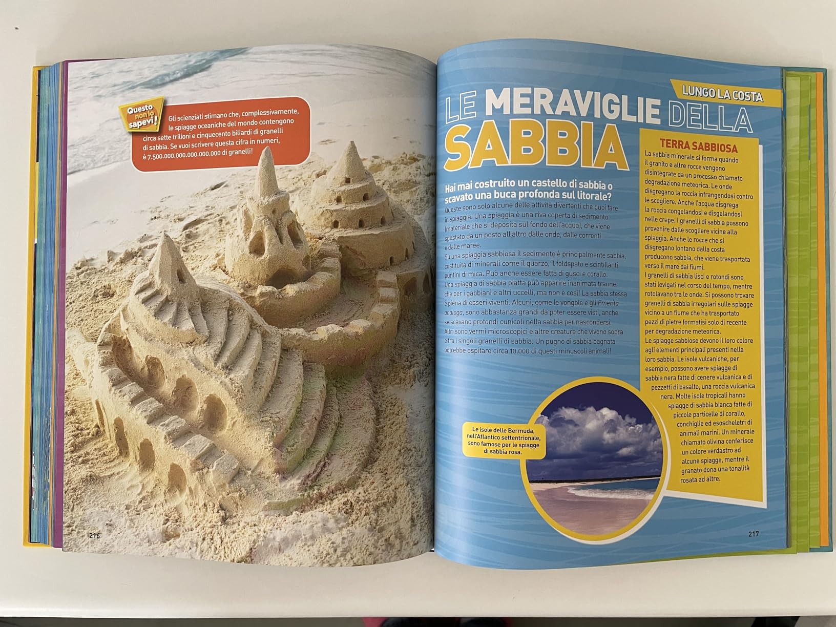 National Geographic Kids – Libri Enciclopedia Oceani libro illustrato