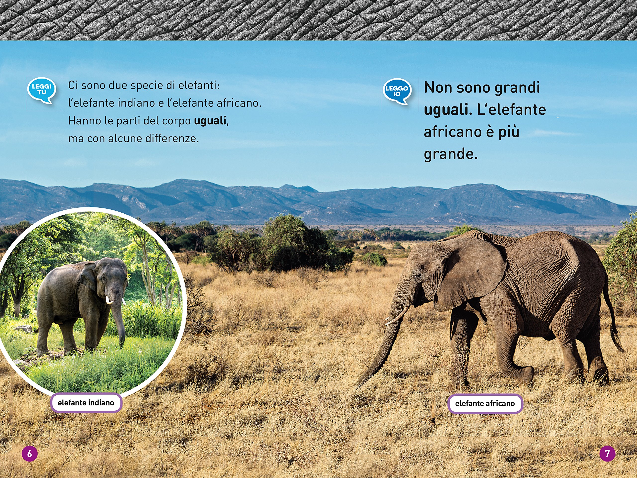 National Geographic Kids – Libri Elefanti. Livello 1. Ediz. a colori libro