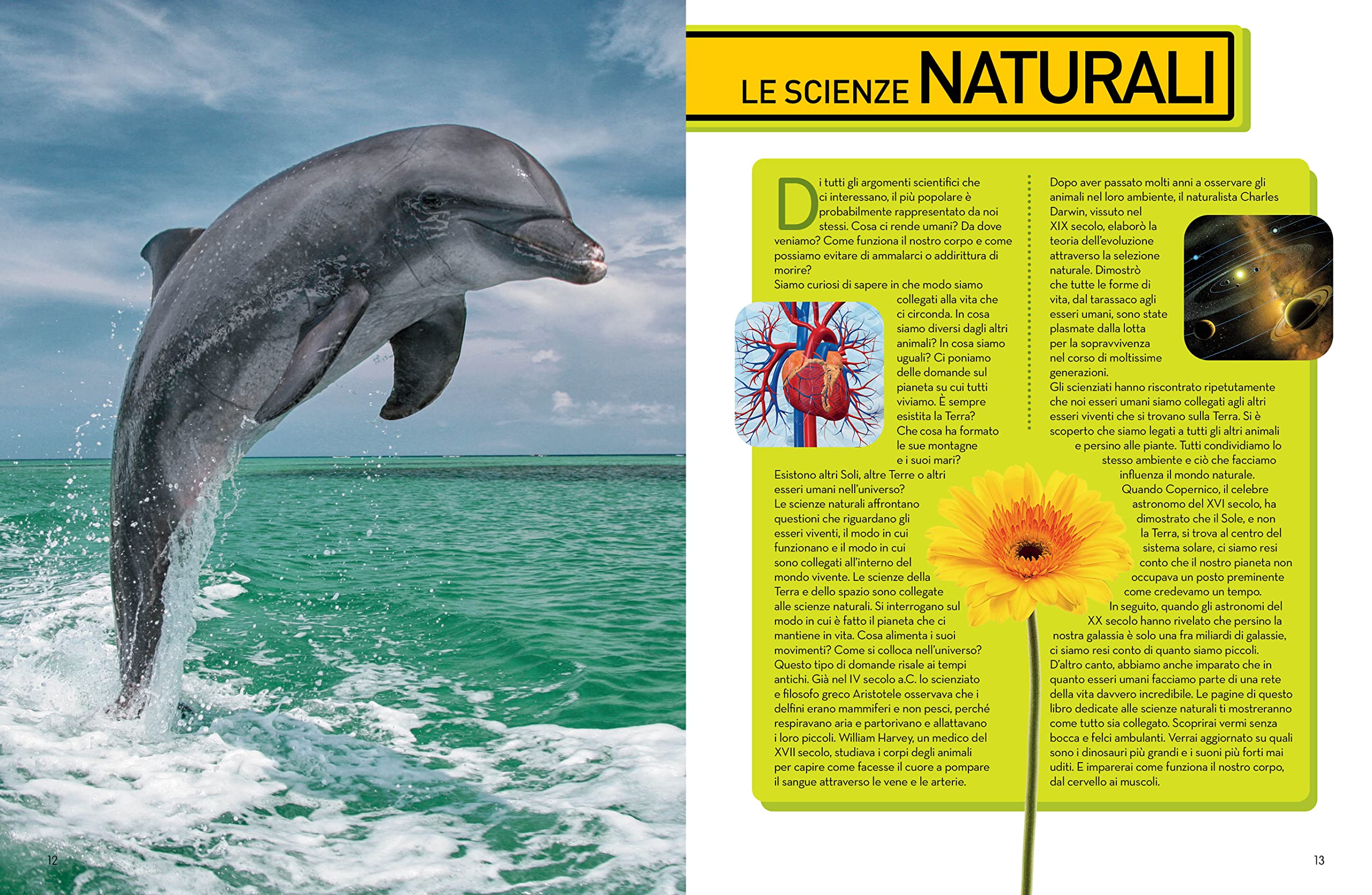 National Geographic Kids – Libri LibroScienza enciclopedia della scienza illustrata