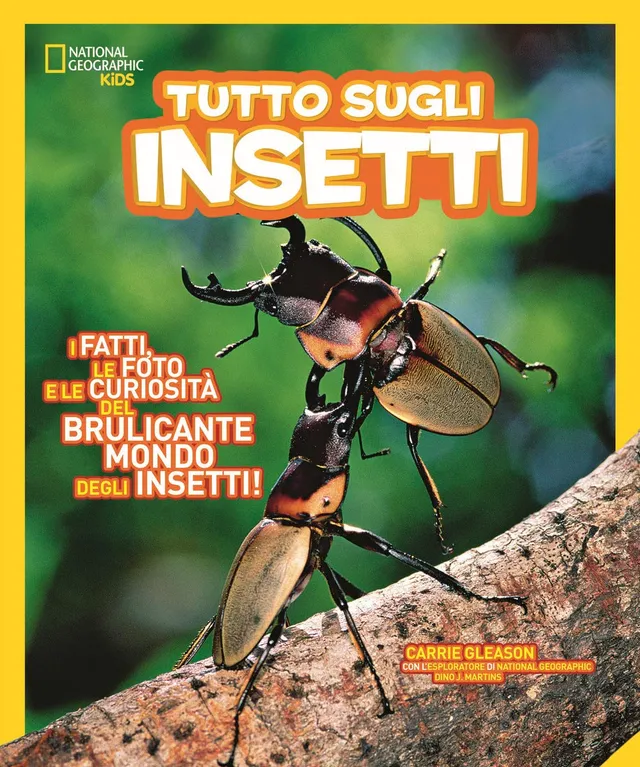 National Geographic Kids – Libri Tutto sugli insetti libro