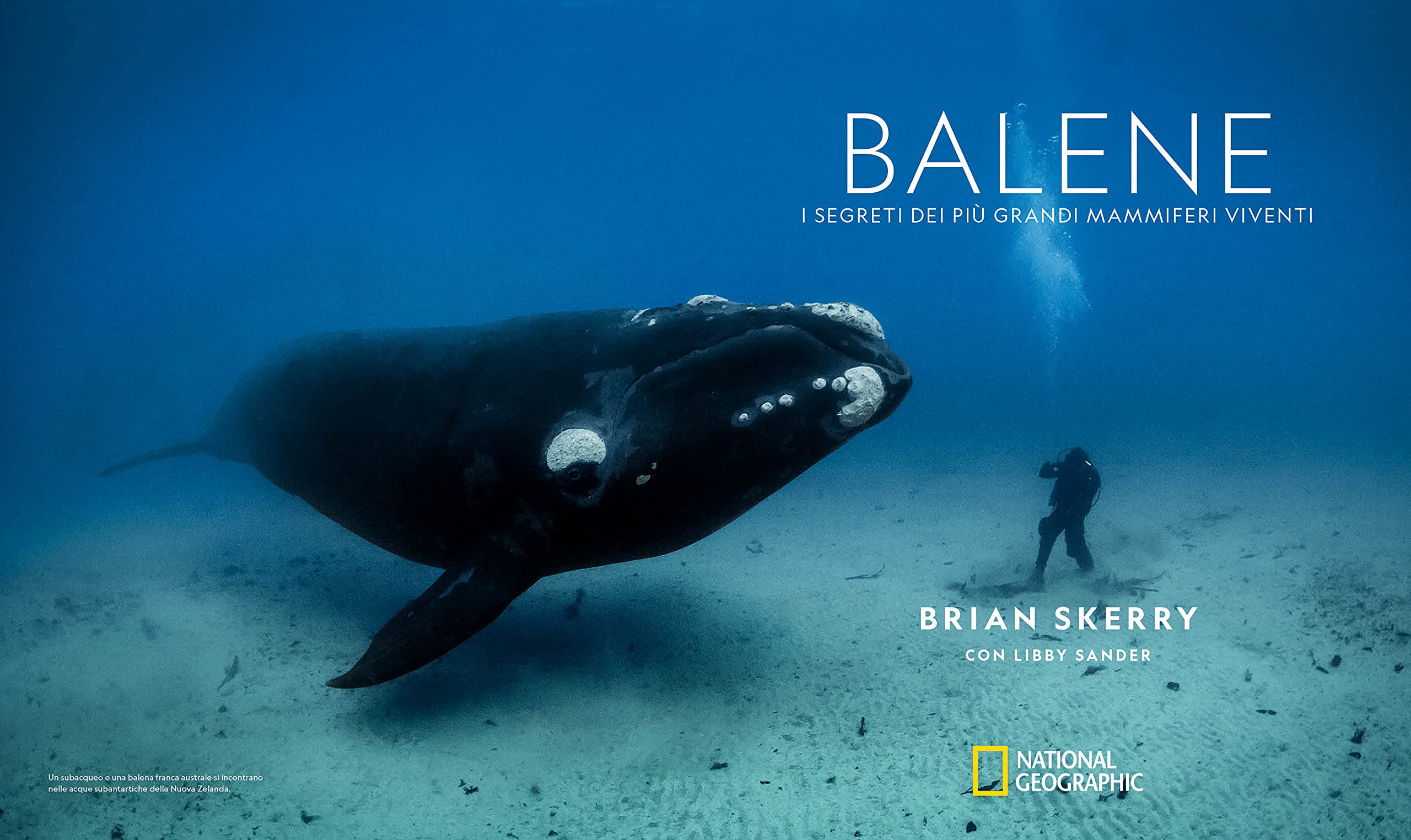 National Geographic – Libri Balene. I segreti dei più grandi mammiferi viventi libro a colori