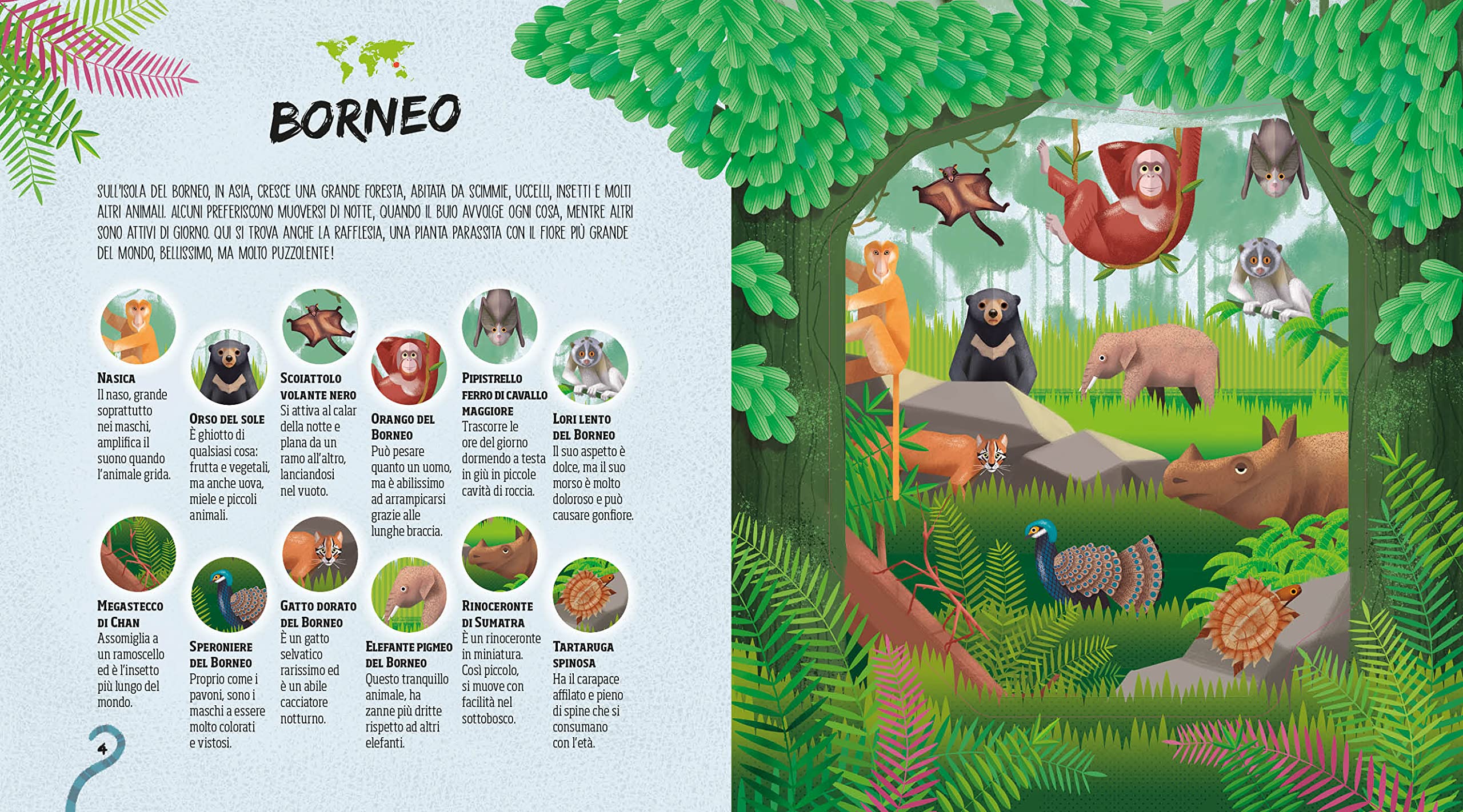 National Geographic Kids Nascosti nella giungla libro cerca animali con torcia magica