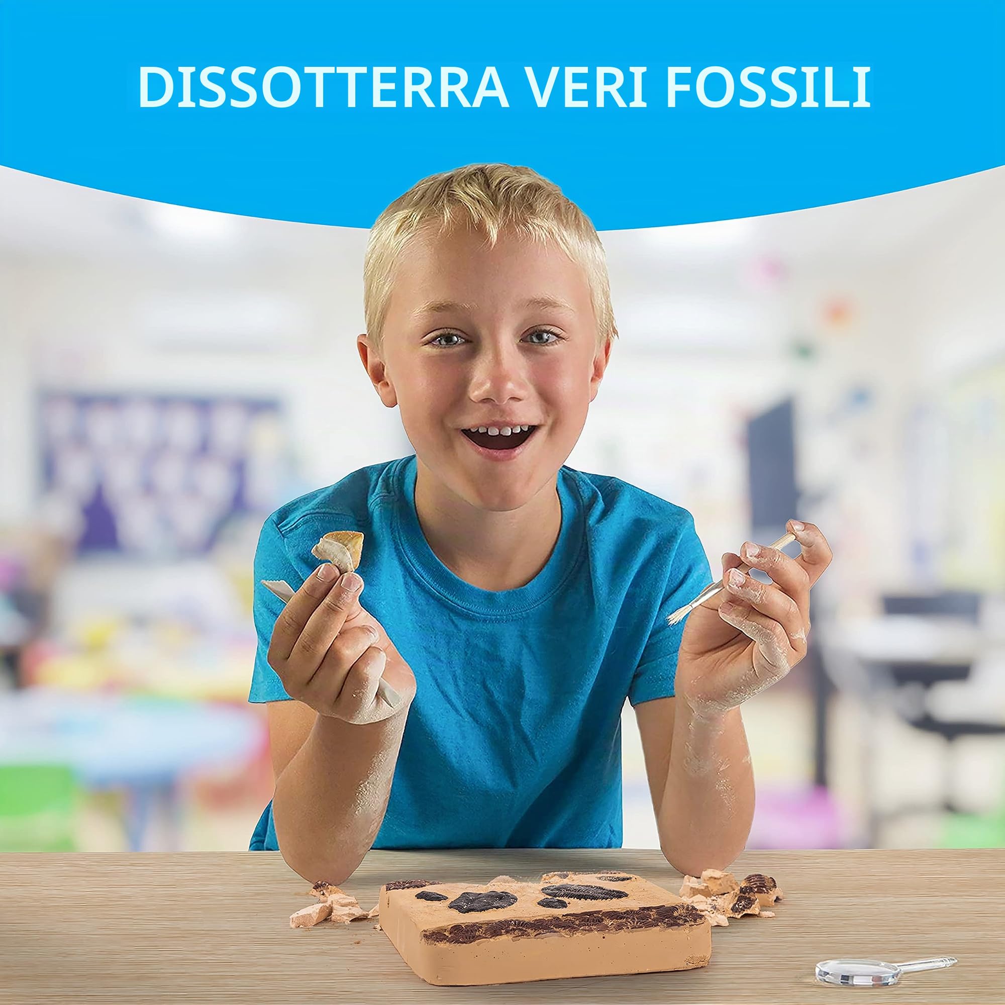 National Geographic Kit scientifici e di scoperta NGSUPERFOS kit di scavo fossili 15 fossili