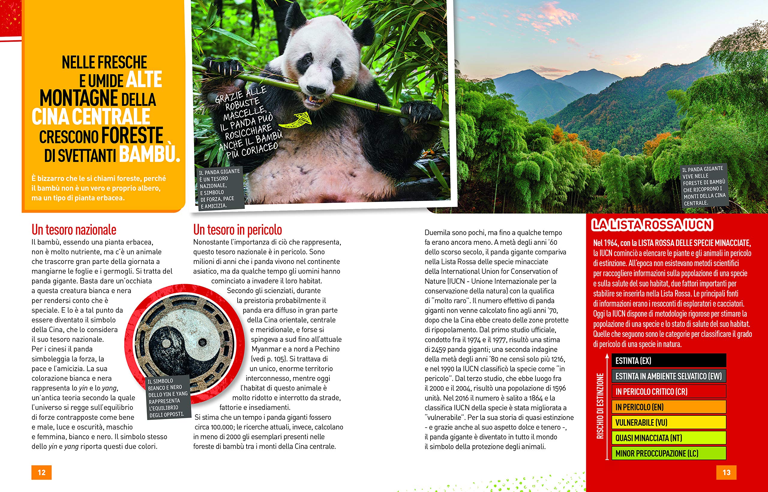 National Geographic Kids – Libri Panda Absolute expert libro