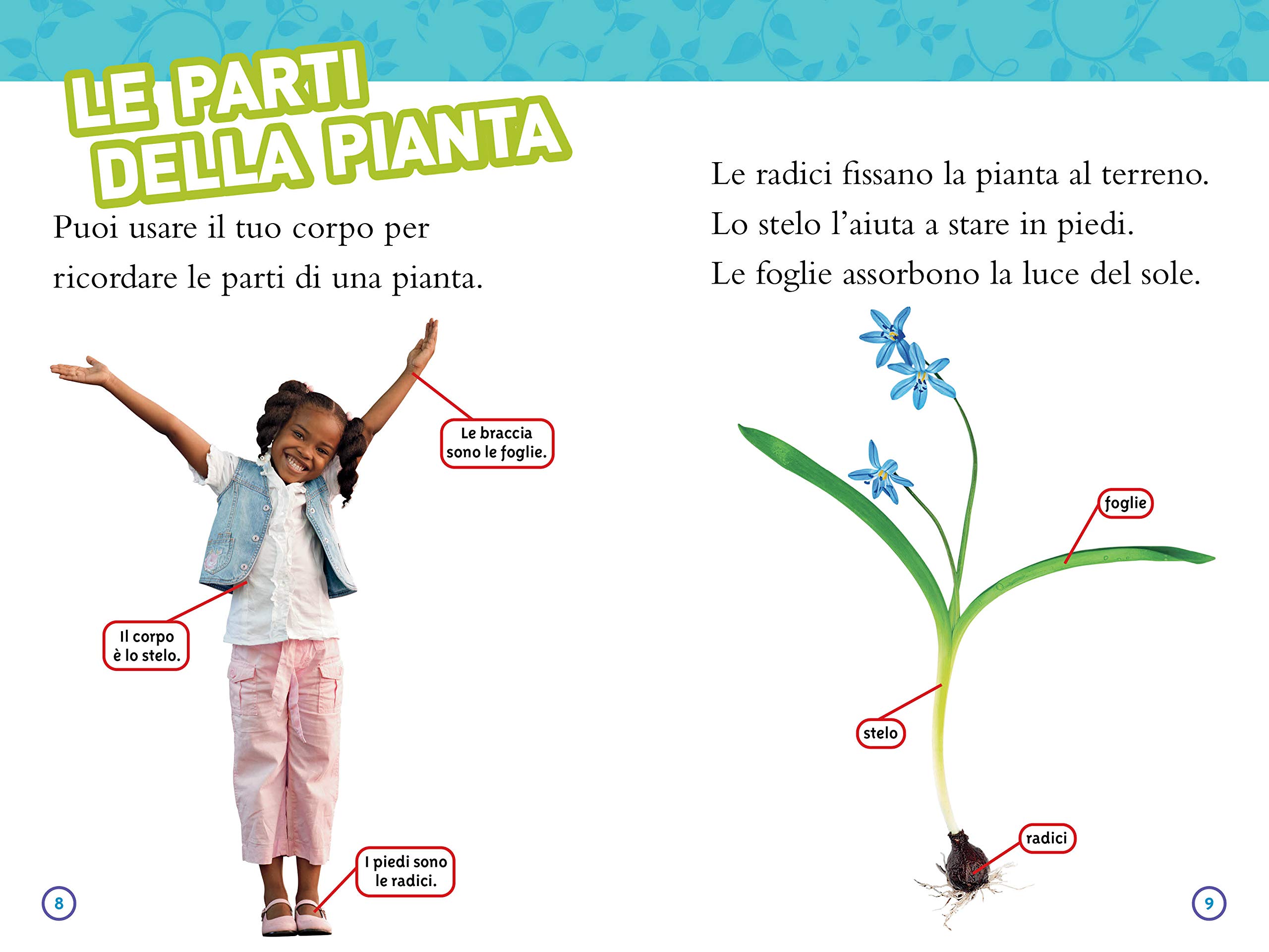 National Geographic Kids – Libri Dal seme alla pianta. Livello 2 libro