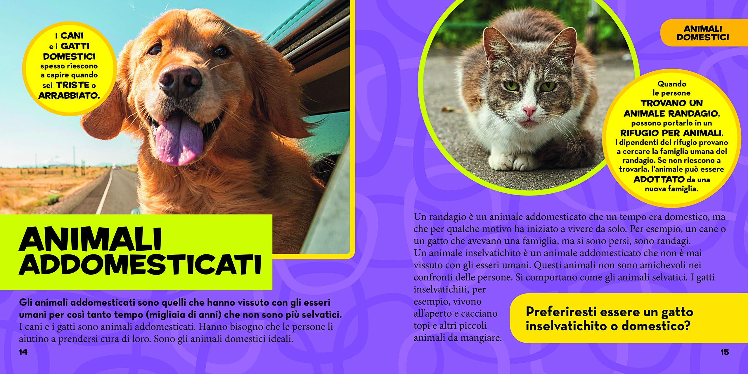 National Geographic Kids – Libri Il primo grande libro degli animali domestici