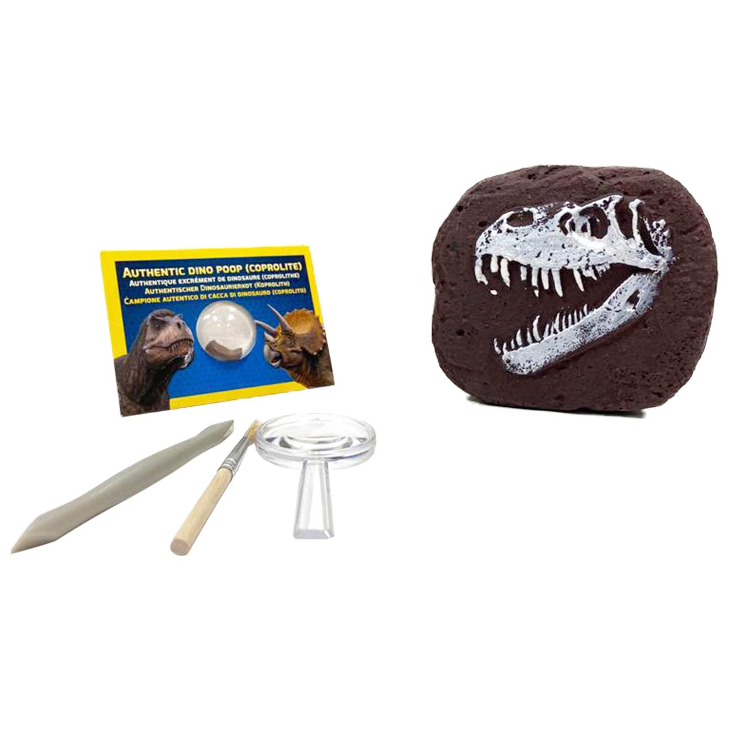 National Geographic Kit scientifici e di scoperta Kit Scavare 3 Insetti