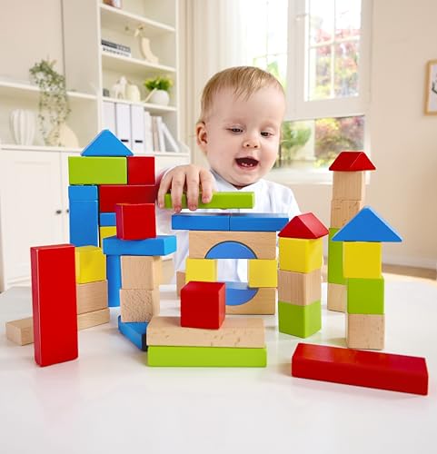 Hape Montare e costruire Blocchi d’Acero costruzioni in legno 50 pezzi colorati