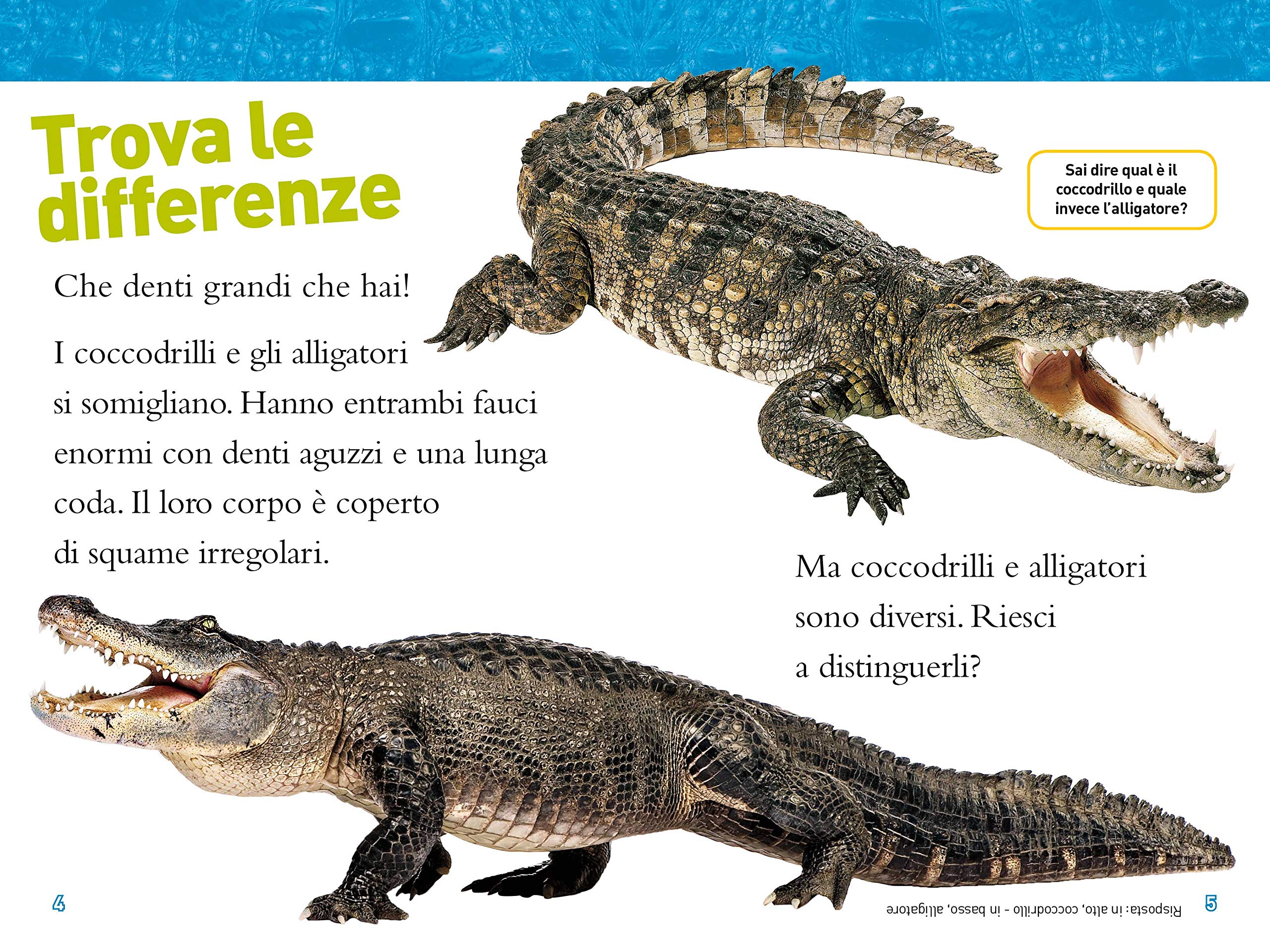 National Geographic National Geographic Kids – Libri Alligatori e coccodrilli. Livello 3. Diventa un super lettore libro