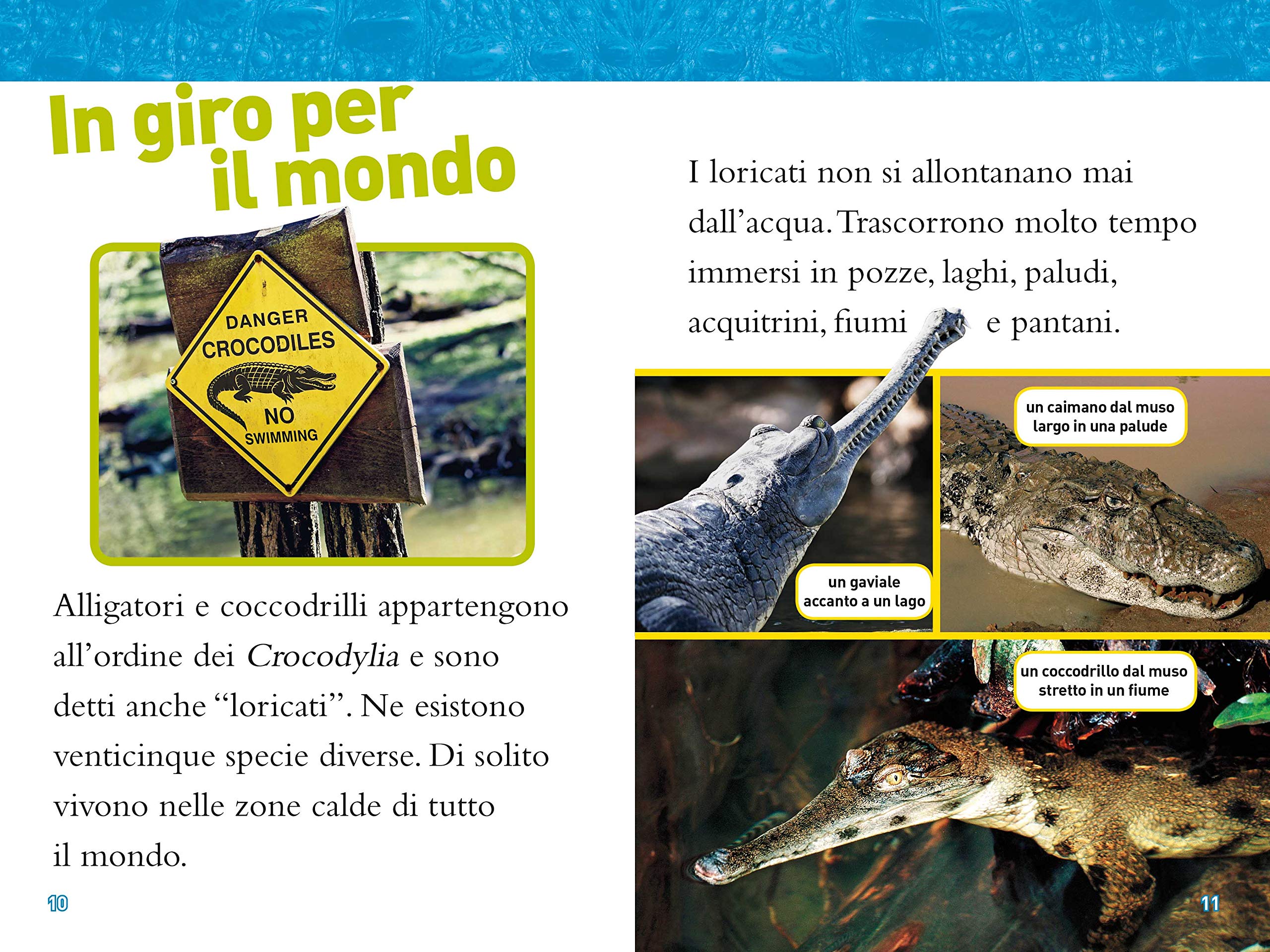 National Geographic National Geographic Kids – Libri Alligatori e coccodrilli. Livello 3. Diventa un super lettore libro