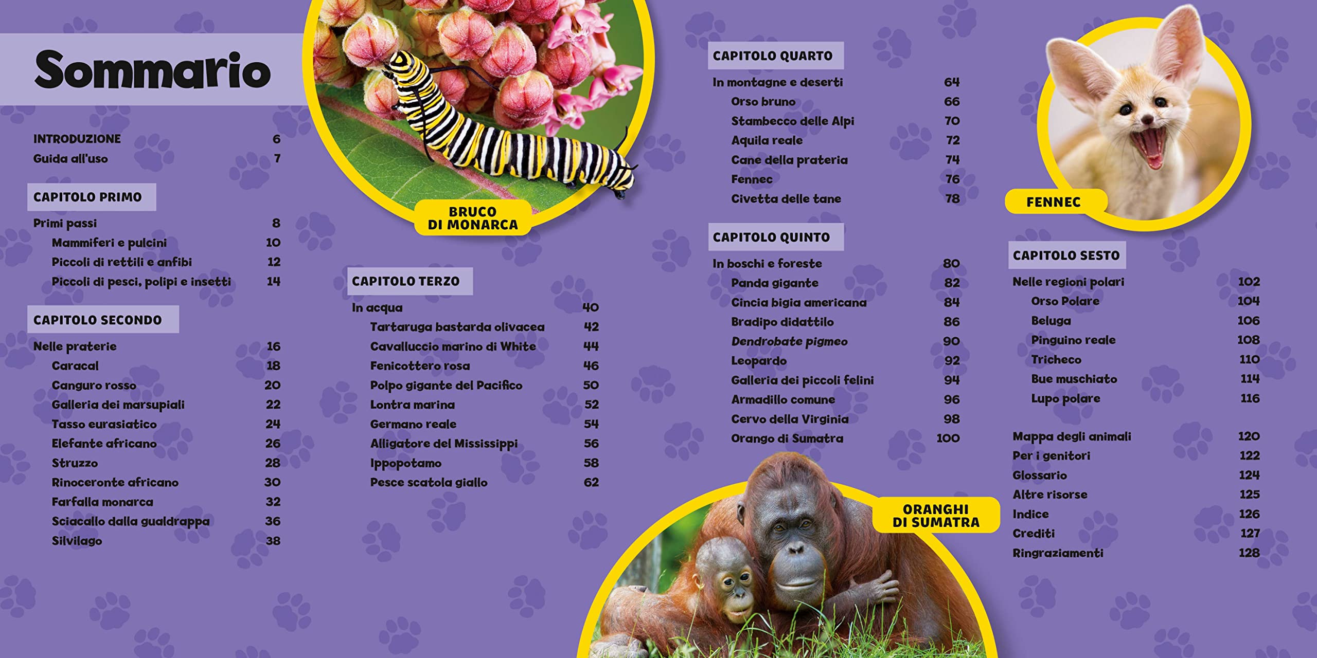 National Geographic Kids – Libri Il primo grande libro dei cuccioli libro a colori