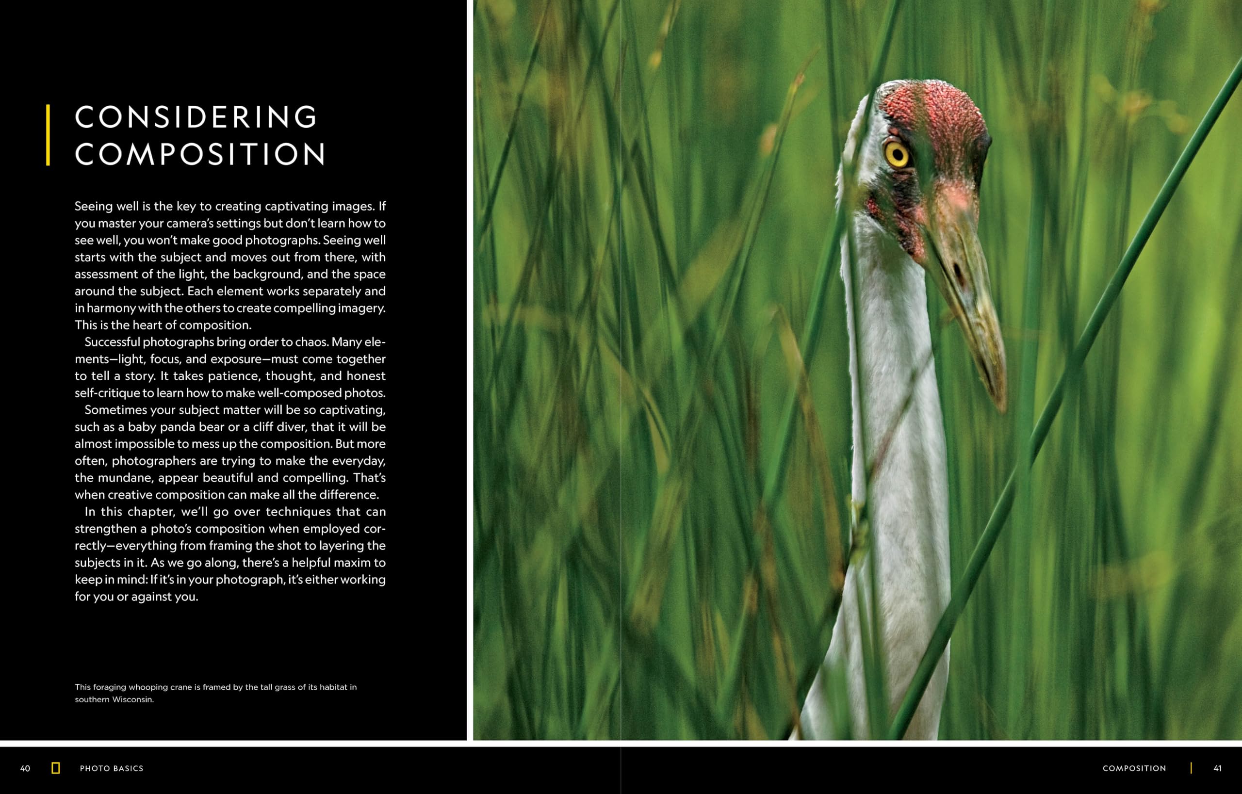National Geographic National Geographic – Libri Photo Basics guida alla fotografia