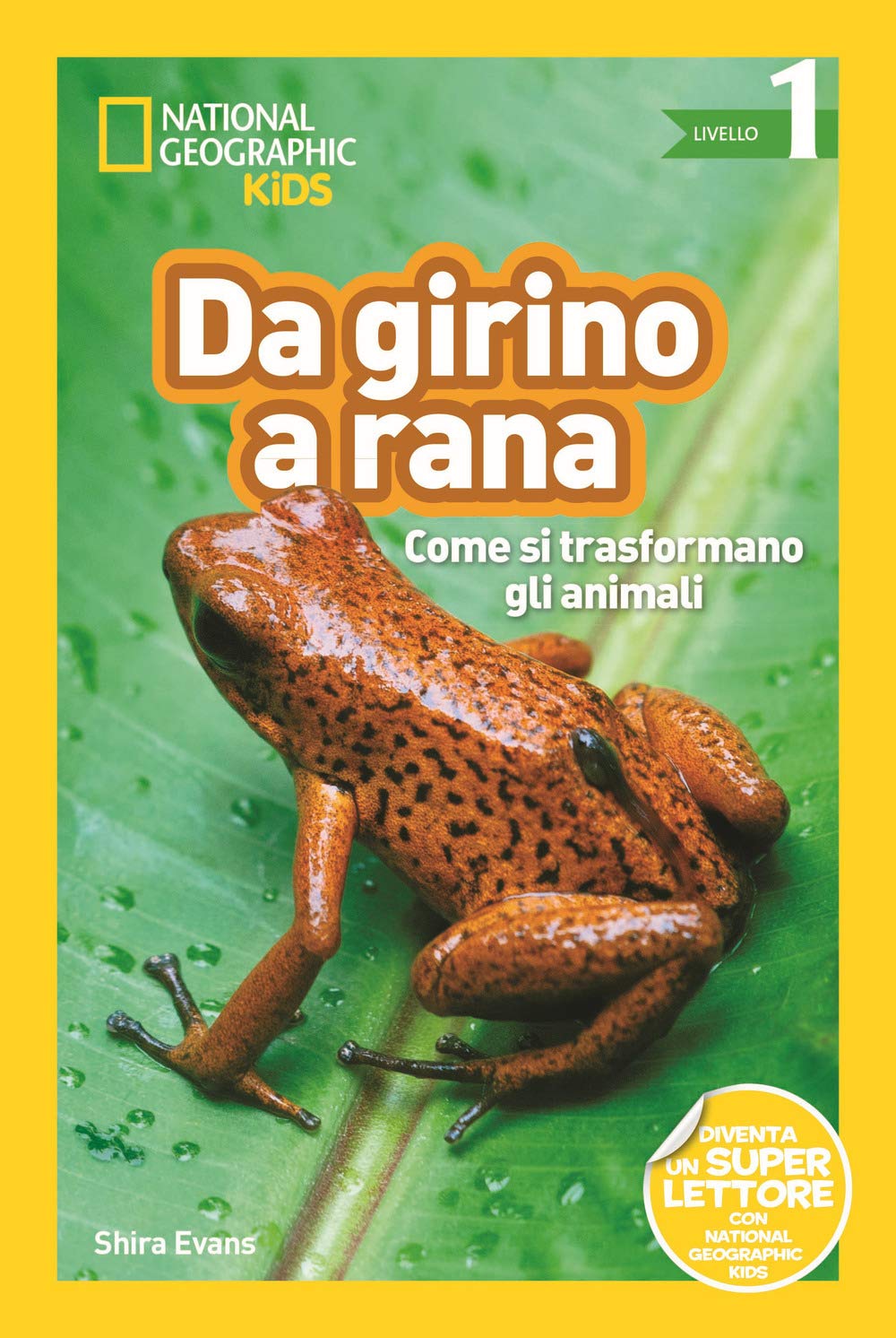 National Geographic Kids – Libri Da girino a rana. Come si trasformano gli animali. Livello 1. Diventa un super lettore libro a colori