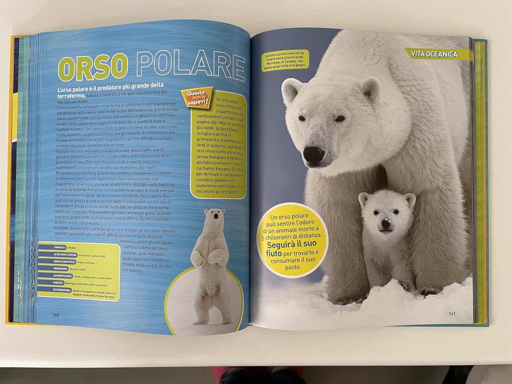 National Geographic Kids – Libri Enciclopedia Oceani libro illustrato