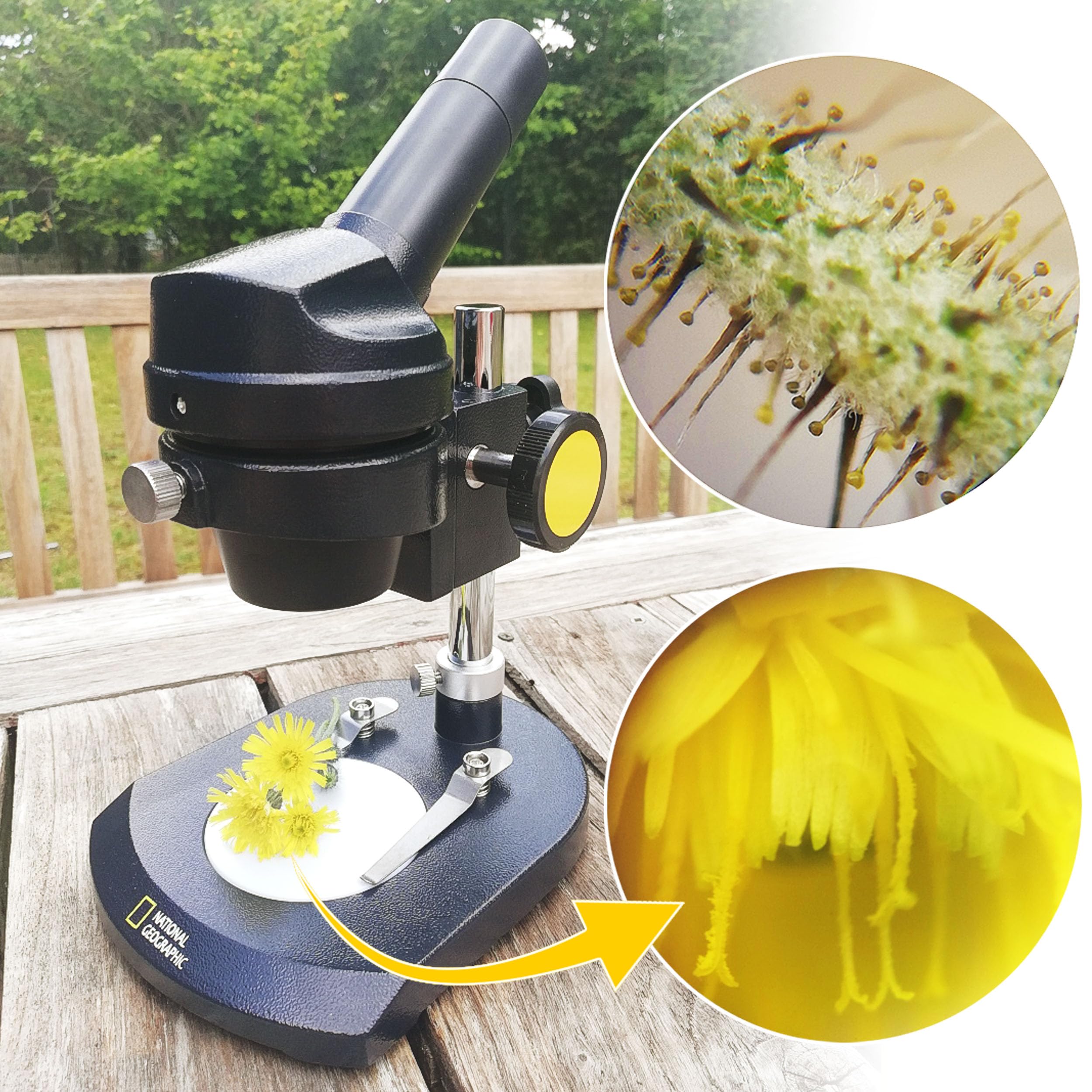 National Geographic Microscopi 9119100 microscopio 20x luce riflessa con custodia