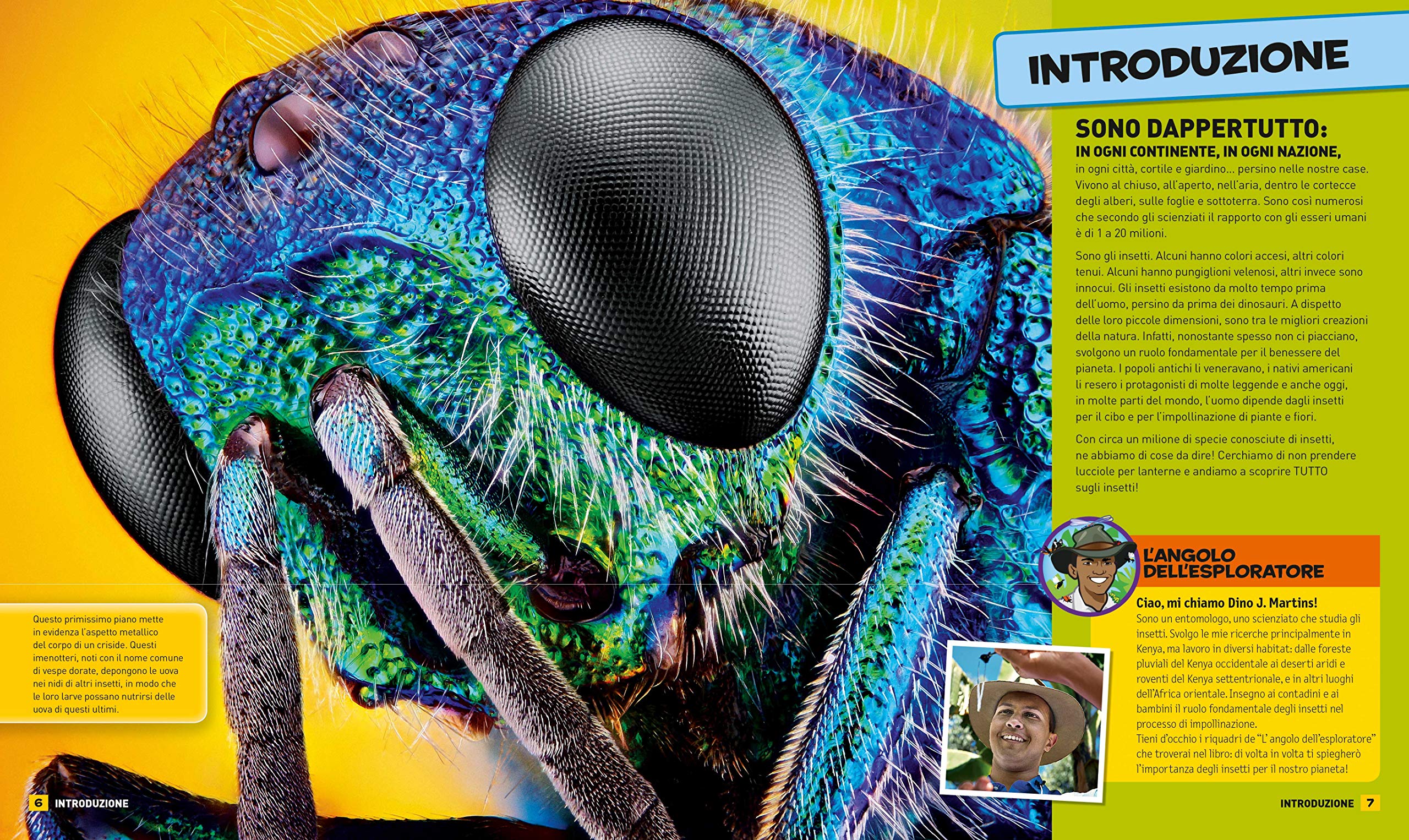 National Geographic Kids – Libri Tutto sugli insetti libro