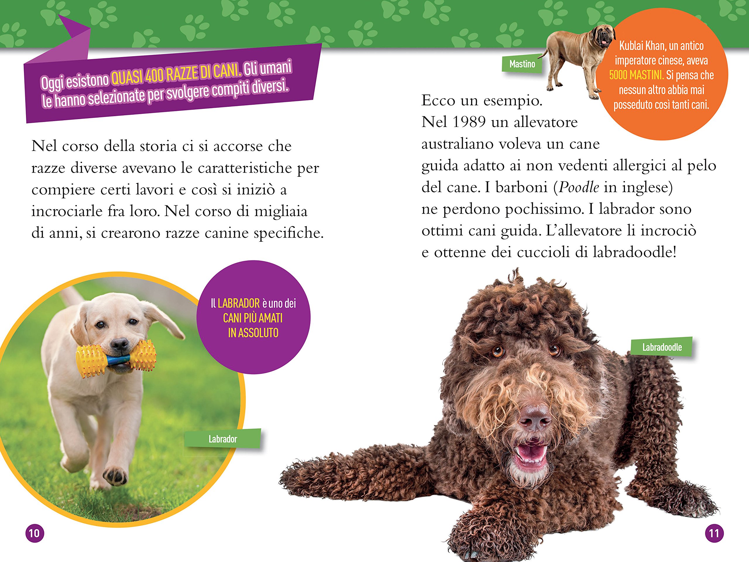 National Geographic Kids – Libri Cani Livello 4 libro per bambini