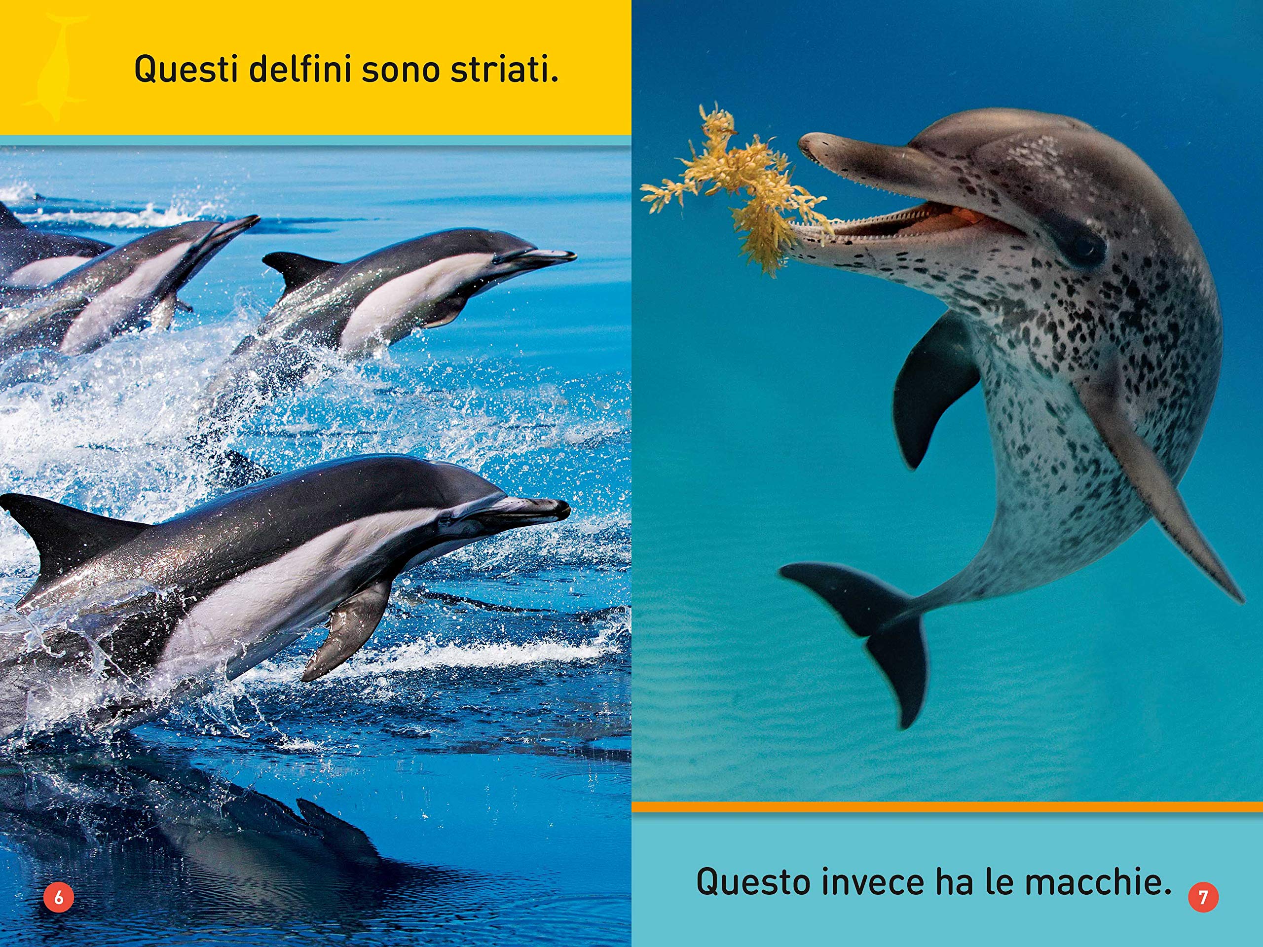 National Geographic Kids – Libri Il mio amico delfino! Primi passi. Diventa un super lettore. Ediz. a colori libro